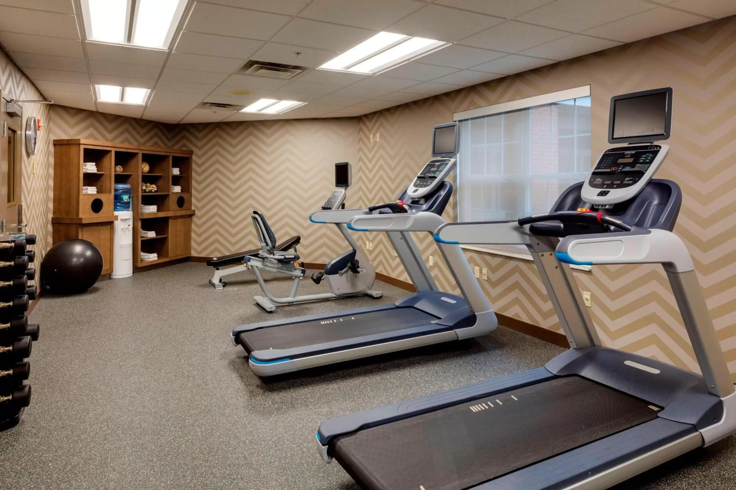 Fitness centre/facilities, Fitness Center/Facilities in Residence Inn by Marriott Portsmouth