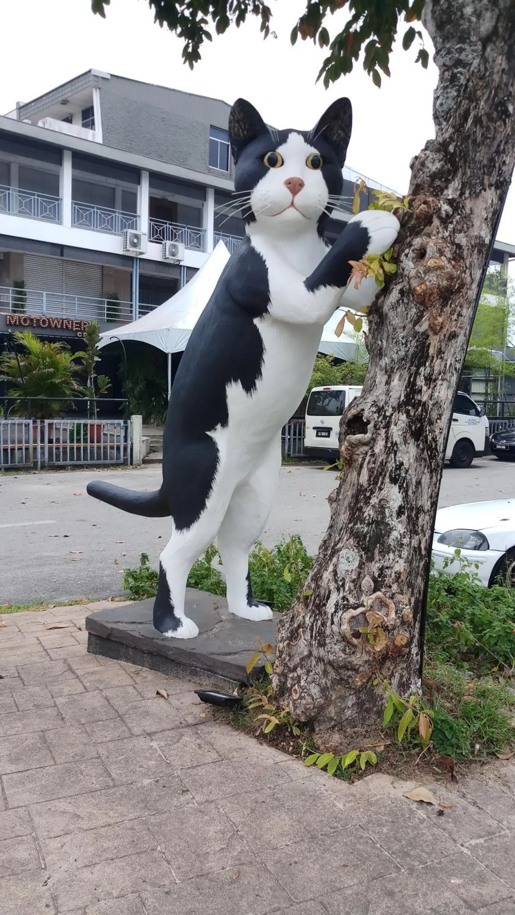 Facade/entrance in Roxy Hotel Padungan Facade/entrance in Roxy Hotel Padungan