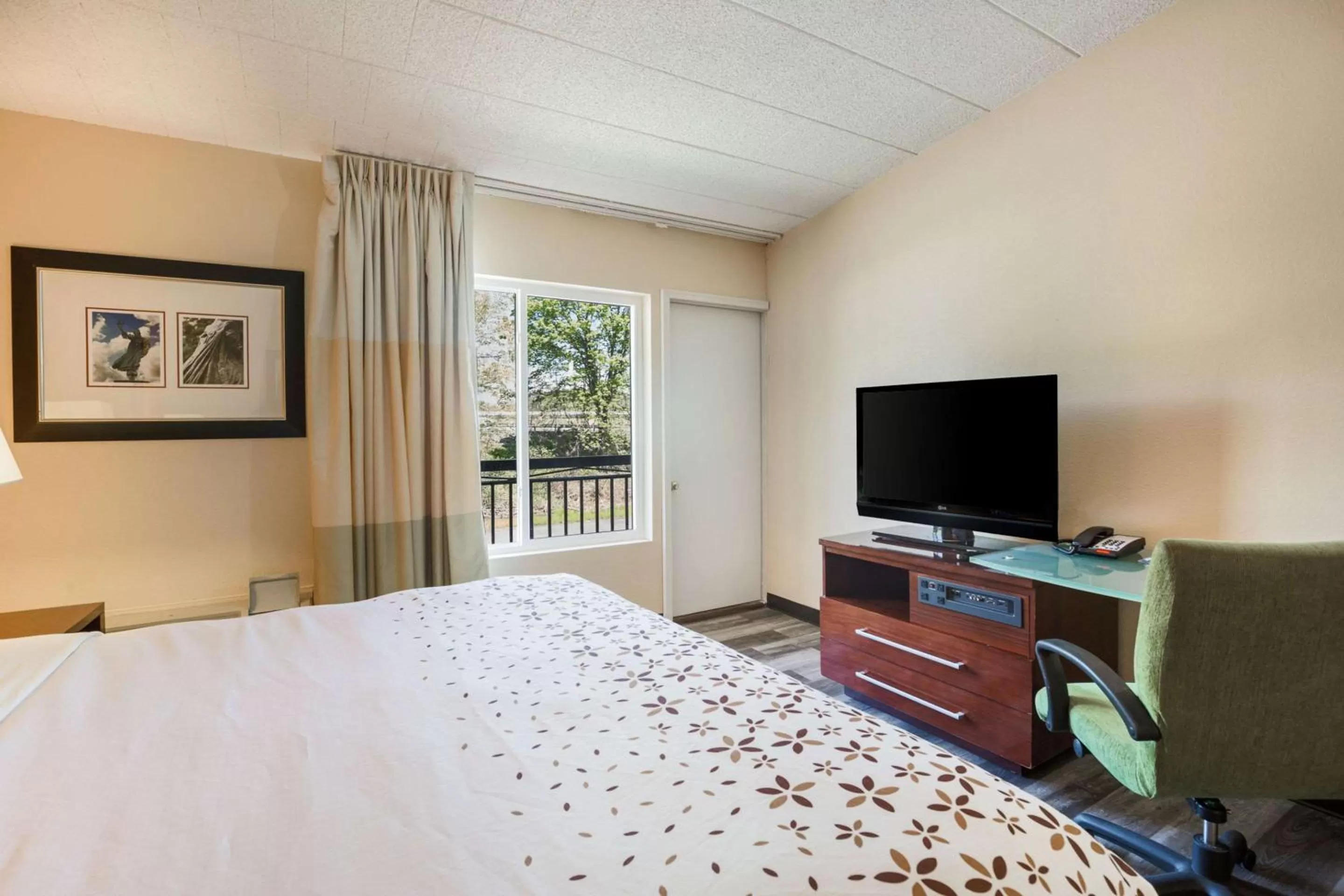 Photo of the whole room, Bed in Fairmount Inn & Suites - Stroudsburg, Poconos