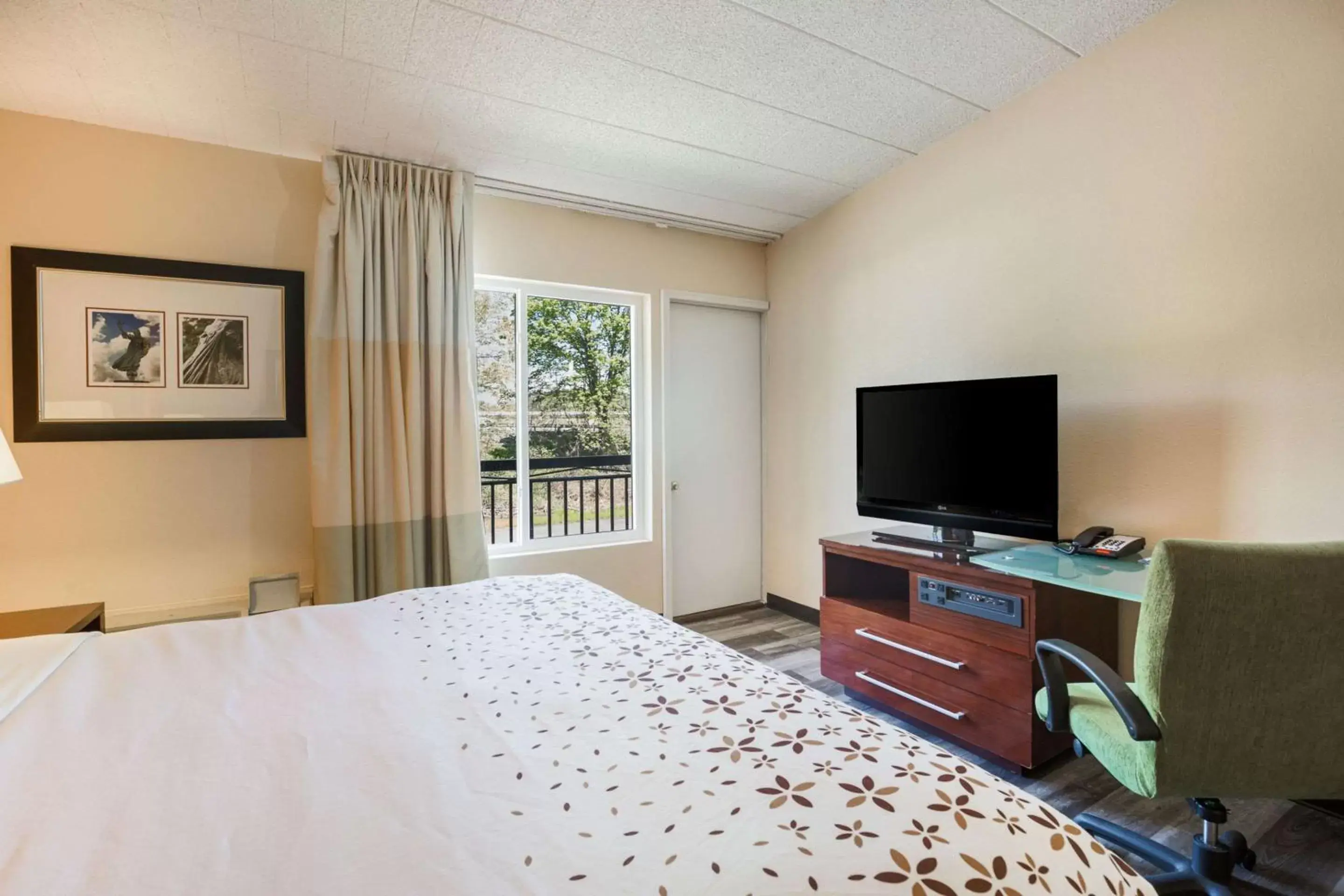 Photo of the whole room, TV/Entertainment Center in Rodeway Inn & Suites Stroudsburg - Poconos