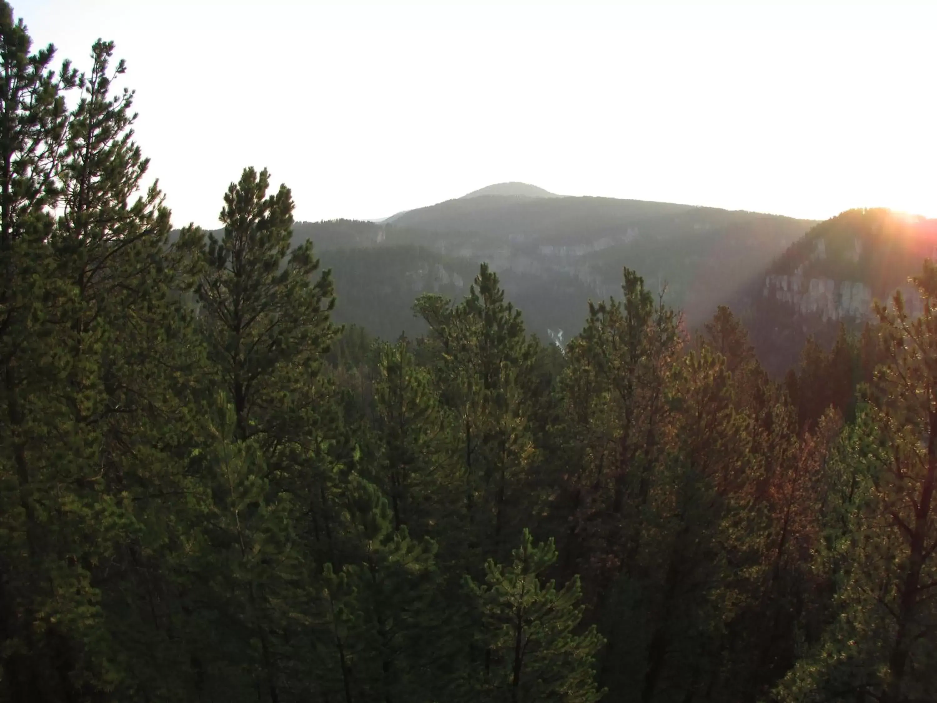 Natural landscape, Mountain View in Spearfish Canyon Lodge