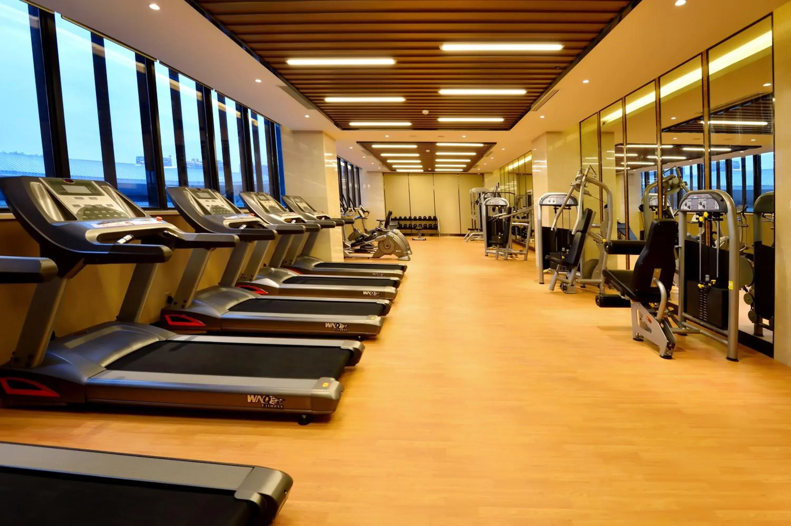 Fitness centre/facilities, Fitness Center/Facilities in Grand Skylight International Hotel Huizhou