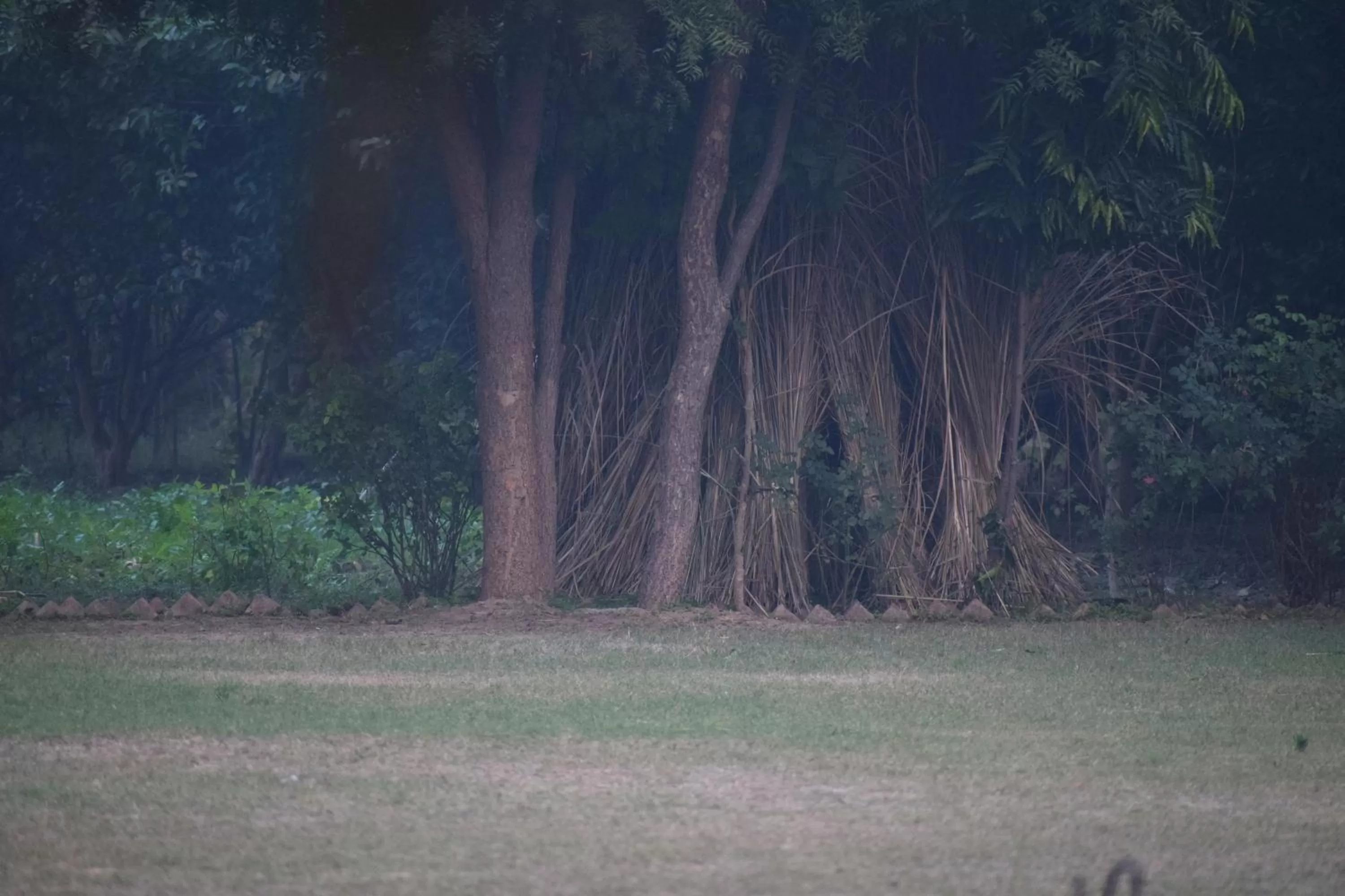 Natural landscape in Sultan Bagh Resort by The Sky Imperial