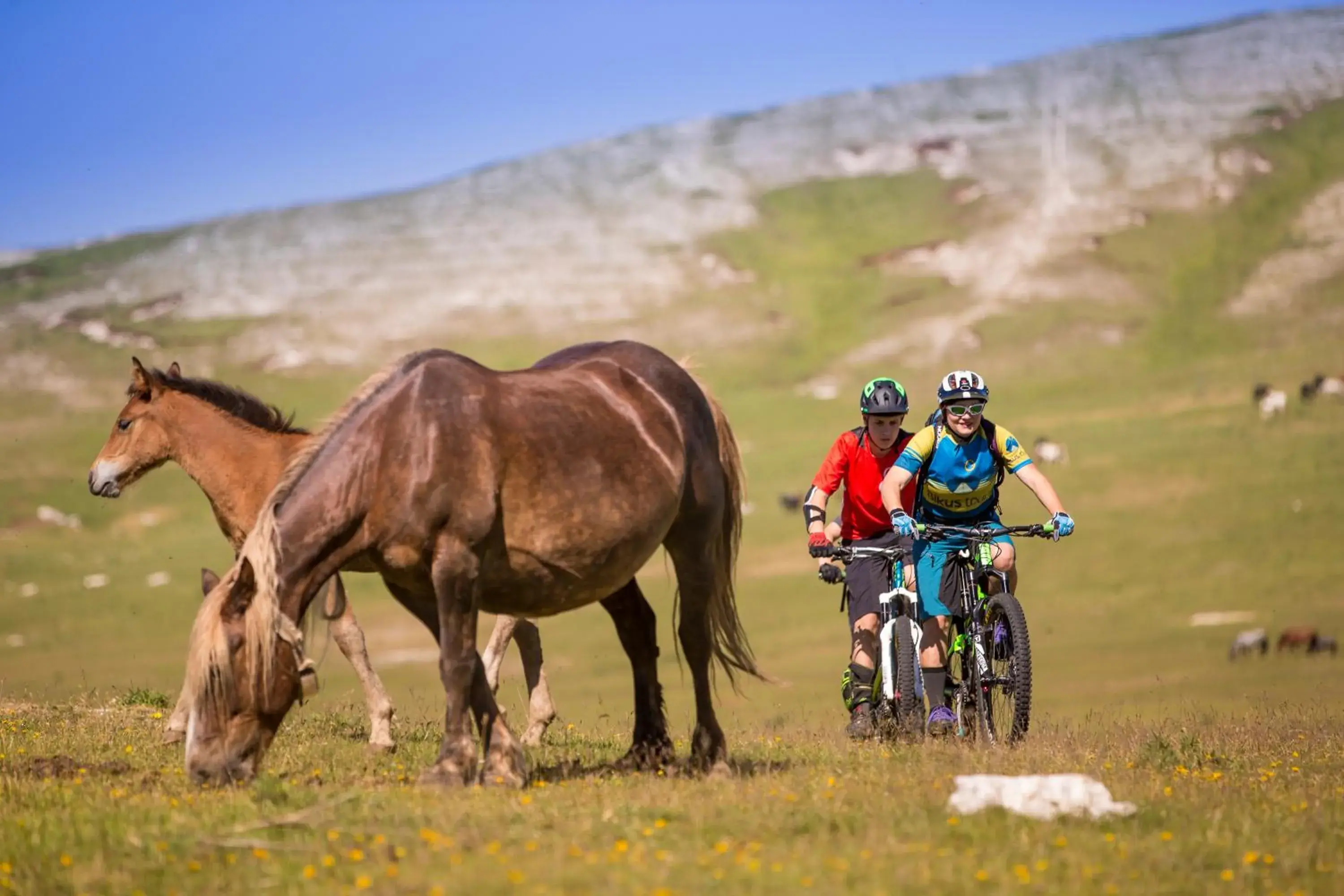 Hiking, Horseback Riding in Ambasciatori Place Hotel