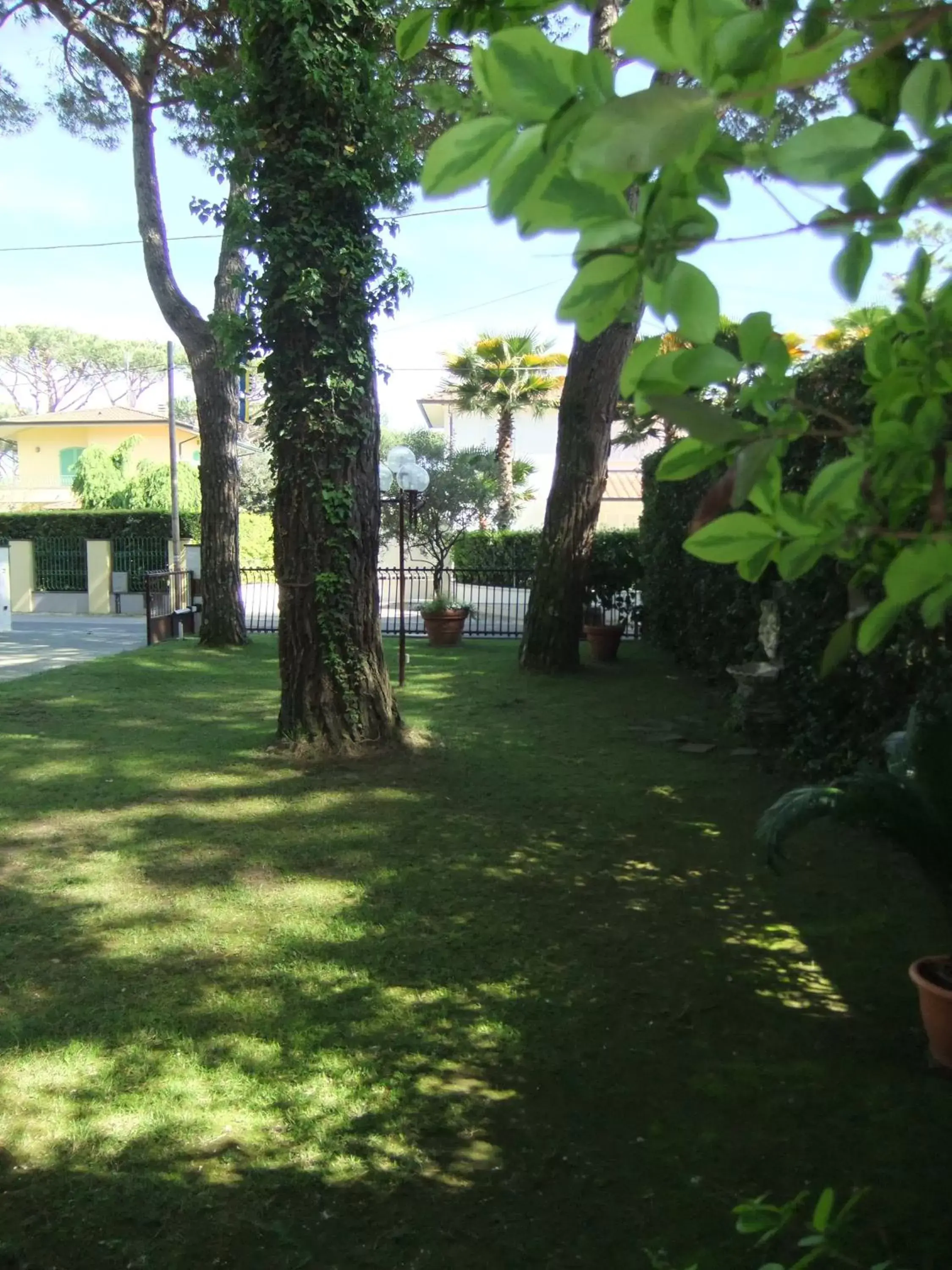 Garden view, Garden in Hotel Giulio Cesare