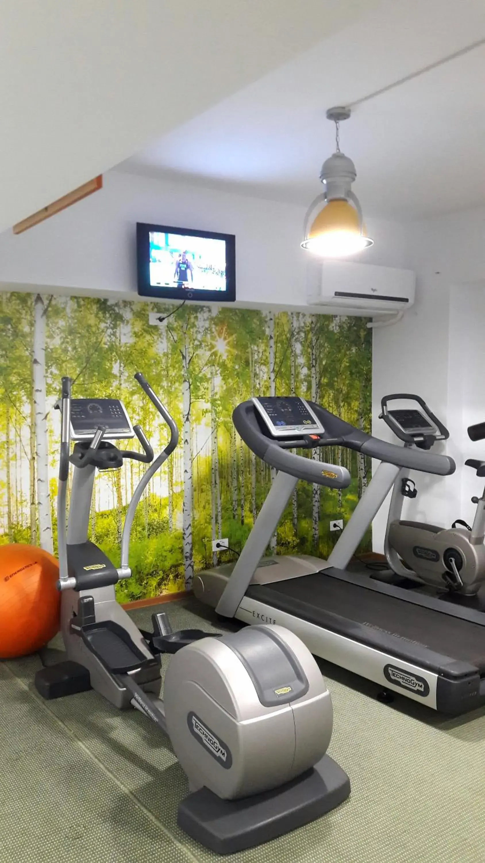 Fitness centre/facilities in Hotel Tecadra