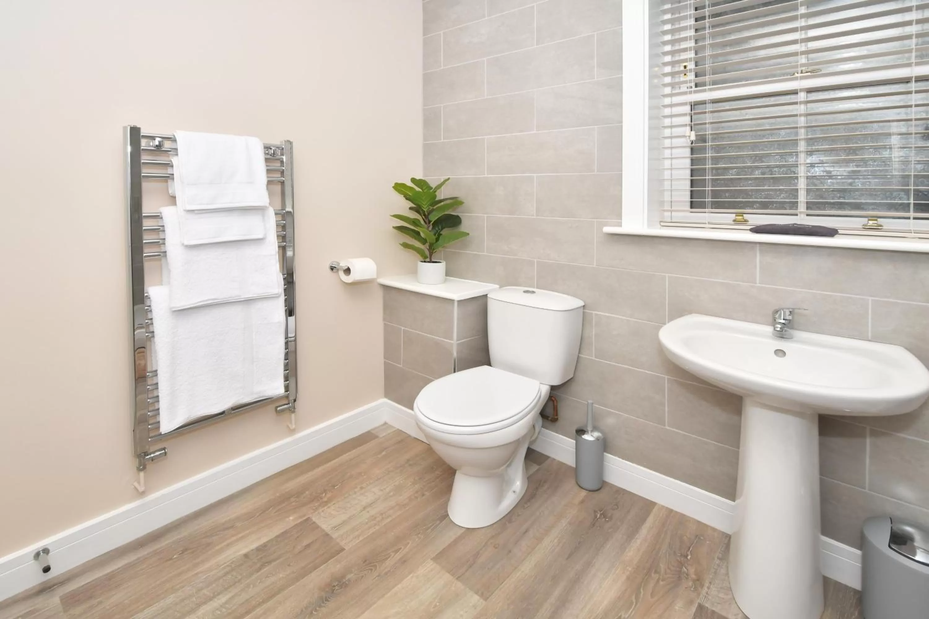 Toilet in The Royal Oak