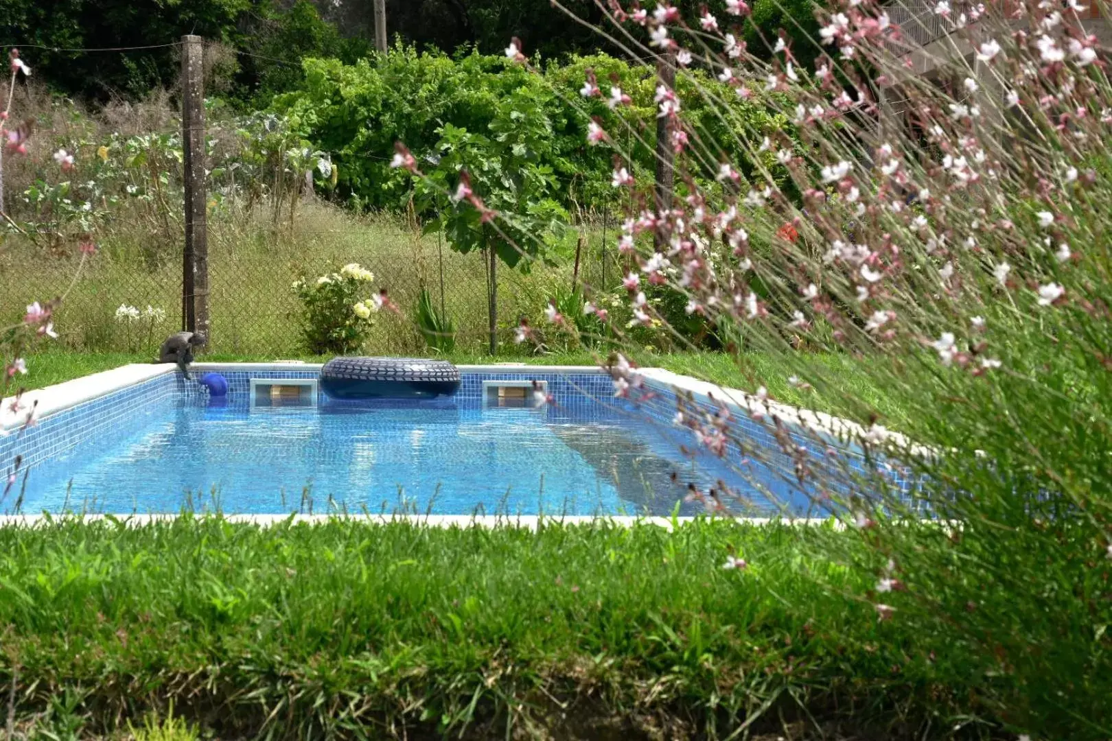 Day, Swimming Pool in B&B Villa Branca Barreiros AL98139