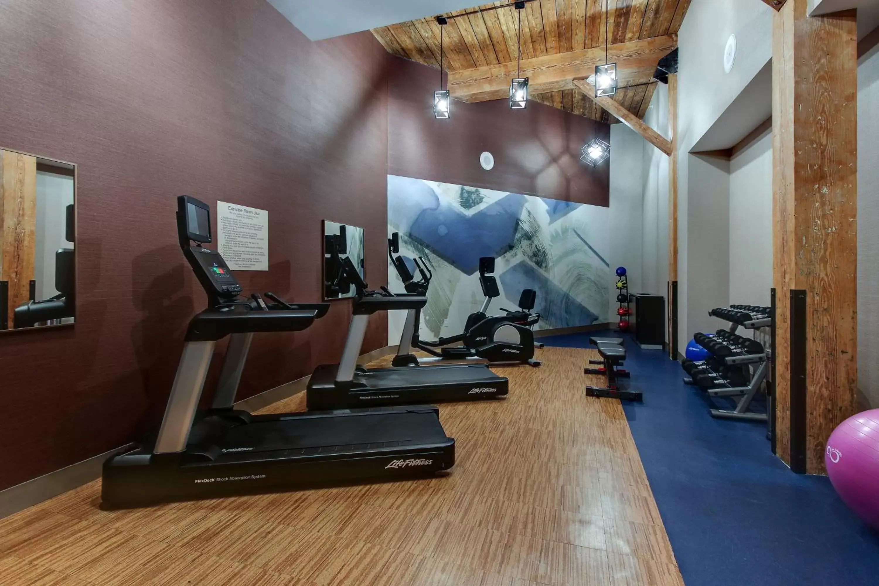 Fitness centre/facilities, Fitness Center/Facilities in SpringHill Suites by Marriott Montgomery Downtown