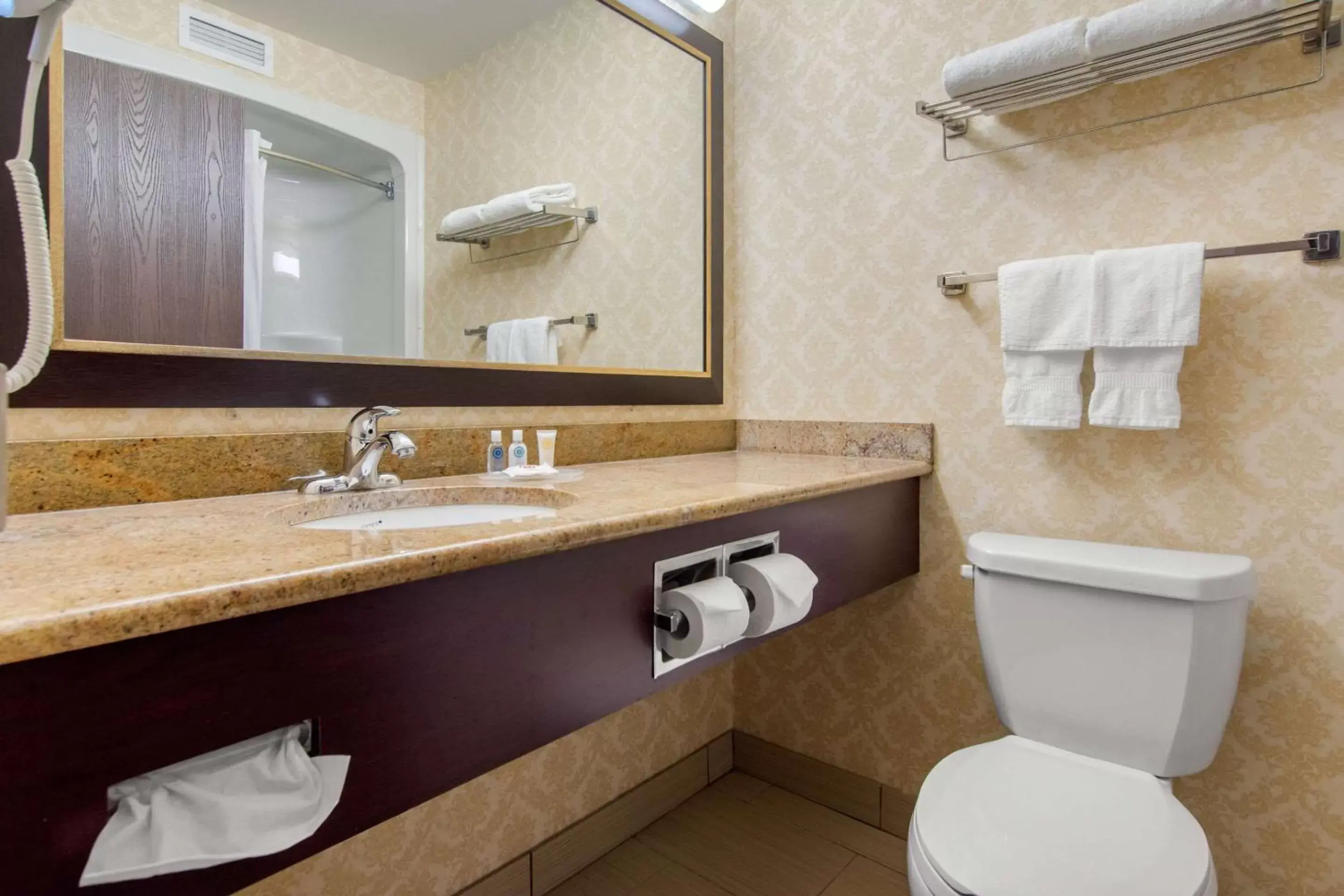 Bathroom in Comfort Inn & Suites Levis / Rive Sud Quebec city