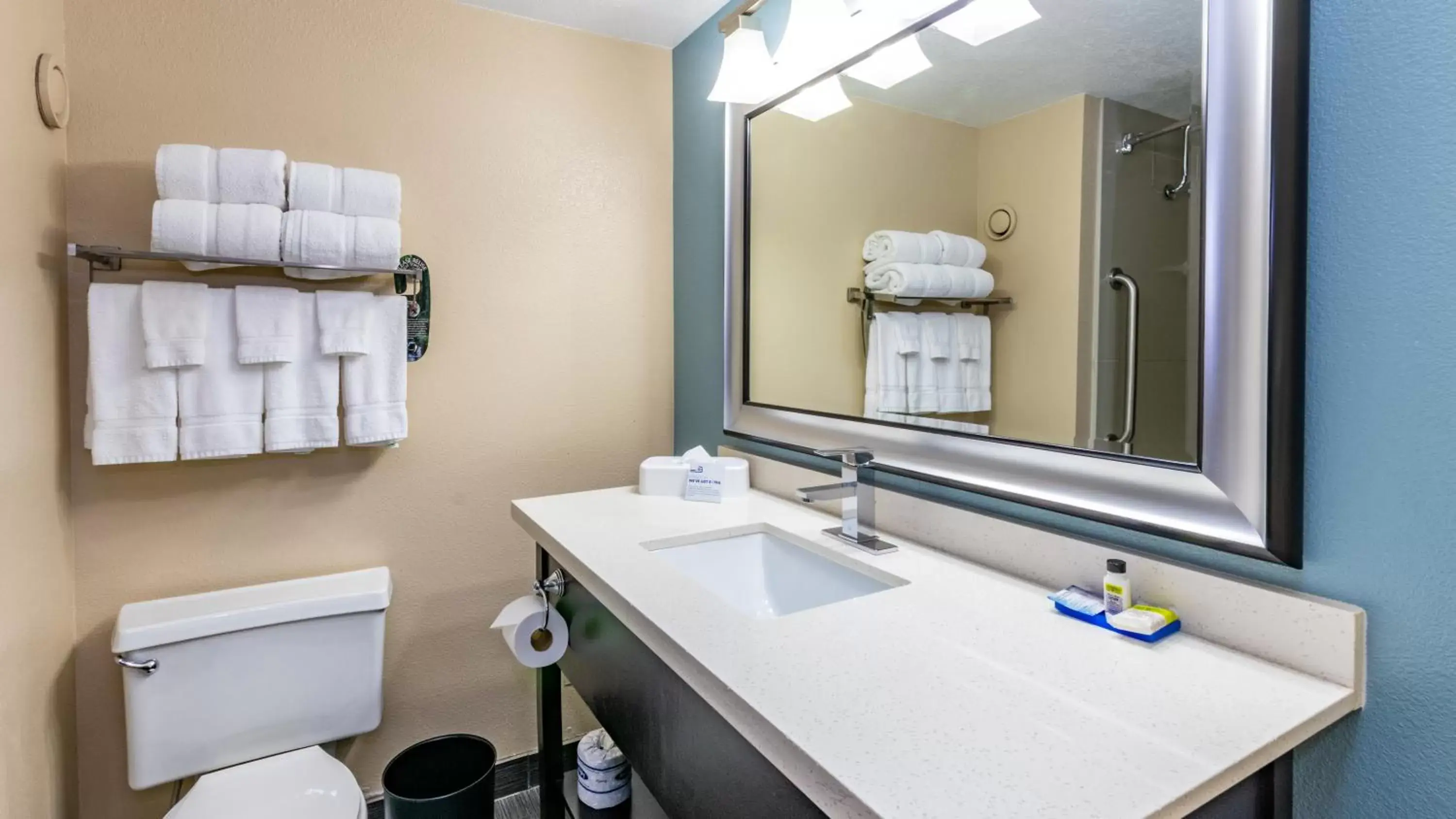 Bathroom in Holiday Inn Express Boise Downtown, an IHG Hotel