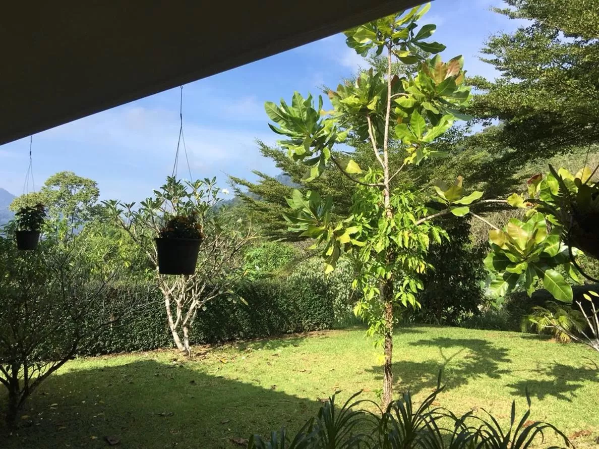 Other in Khao Sok Hill Top Resort