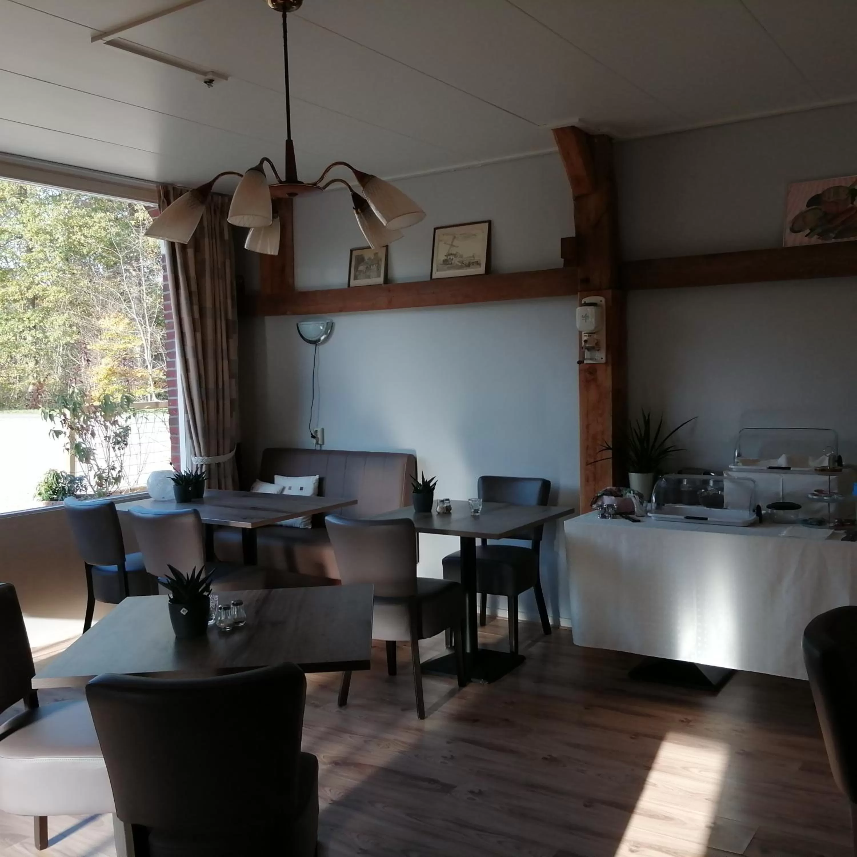 Continental breakfast in Veenemaat