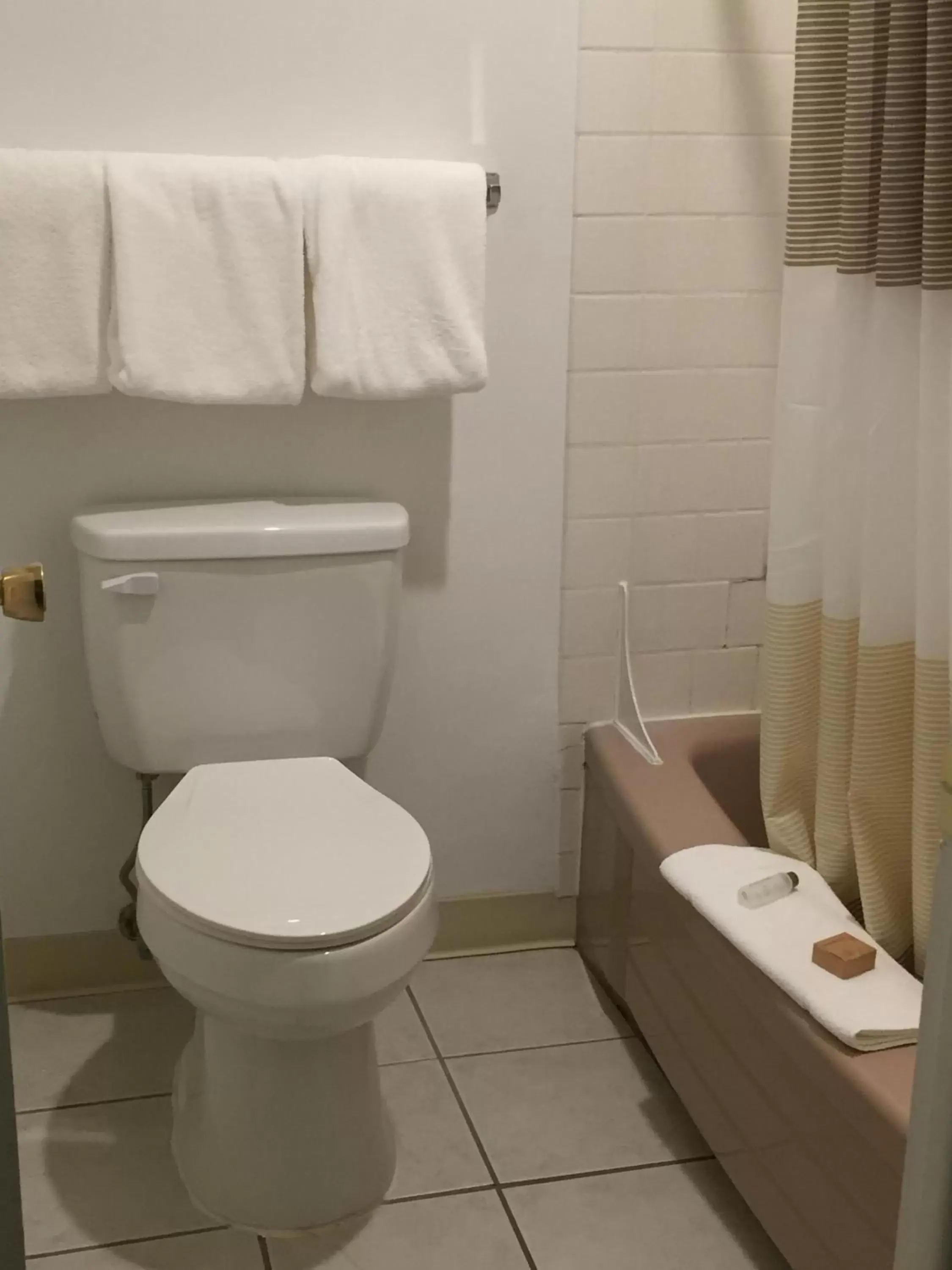Bathroom in Cougar Land Motel