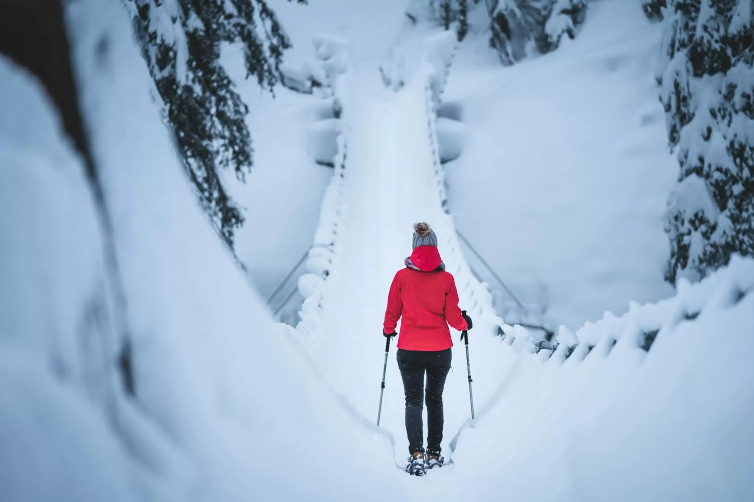 Activities, Skiing in Hotel Alpenrose