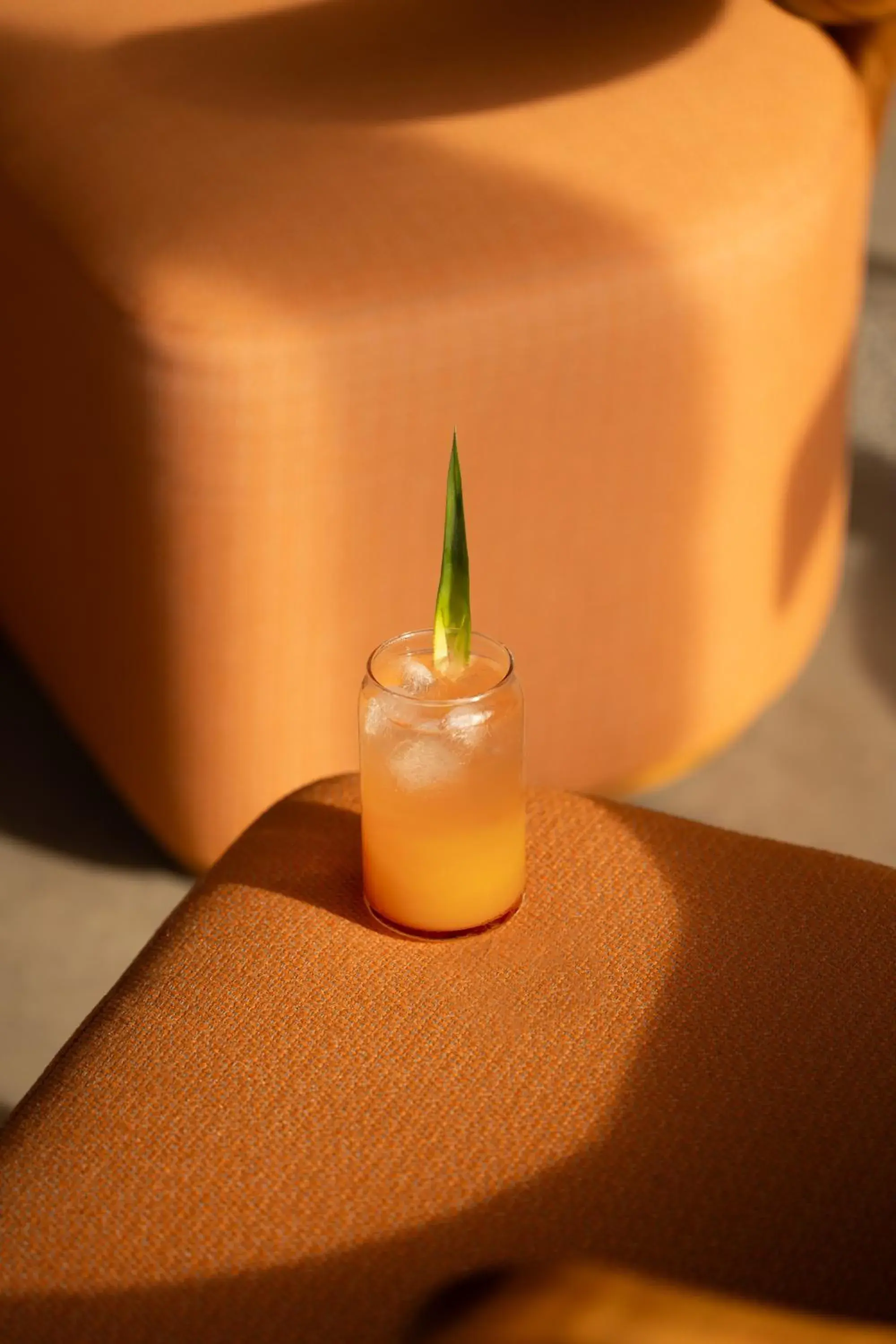 Food and drinks in Menjaga Bay Food and drinks in Menjaga Bay