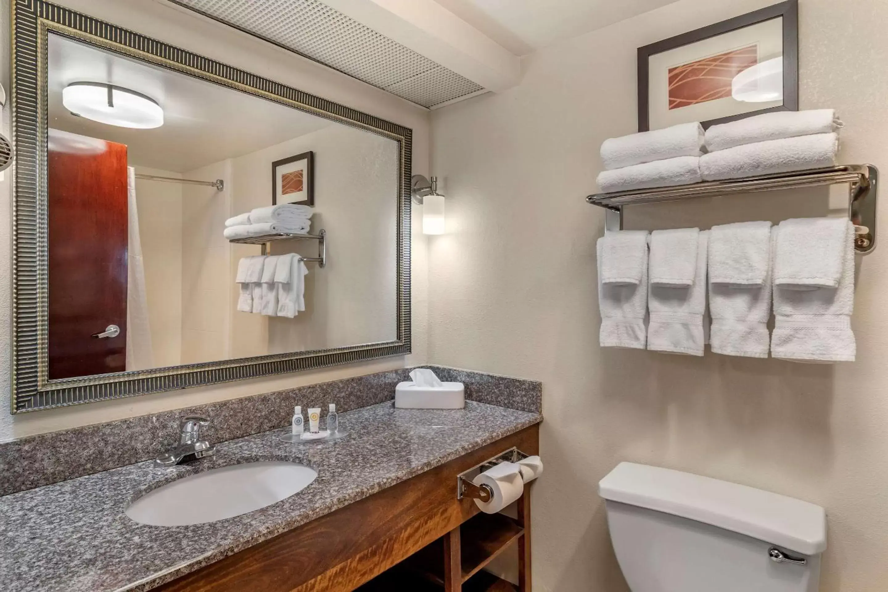 Photo of the whole room, Bathroom in Comfort Inn & Suites Athens