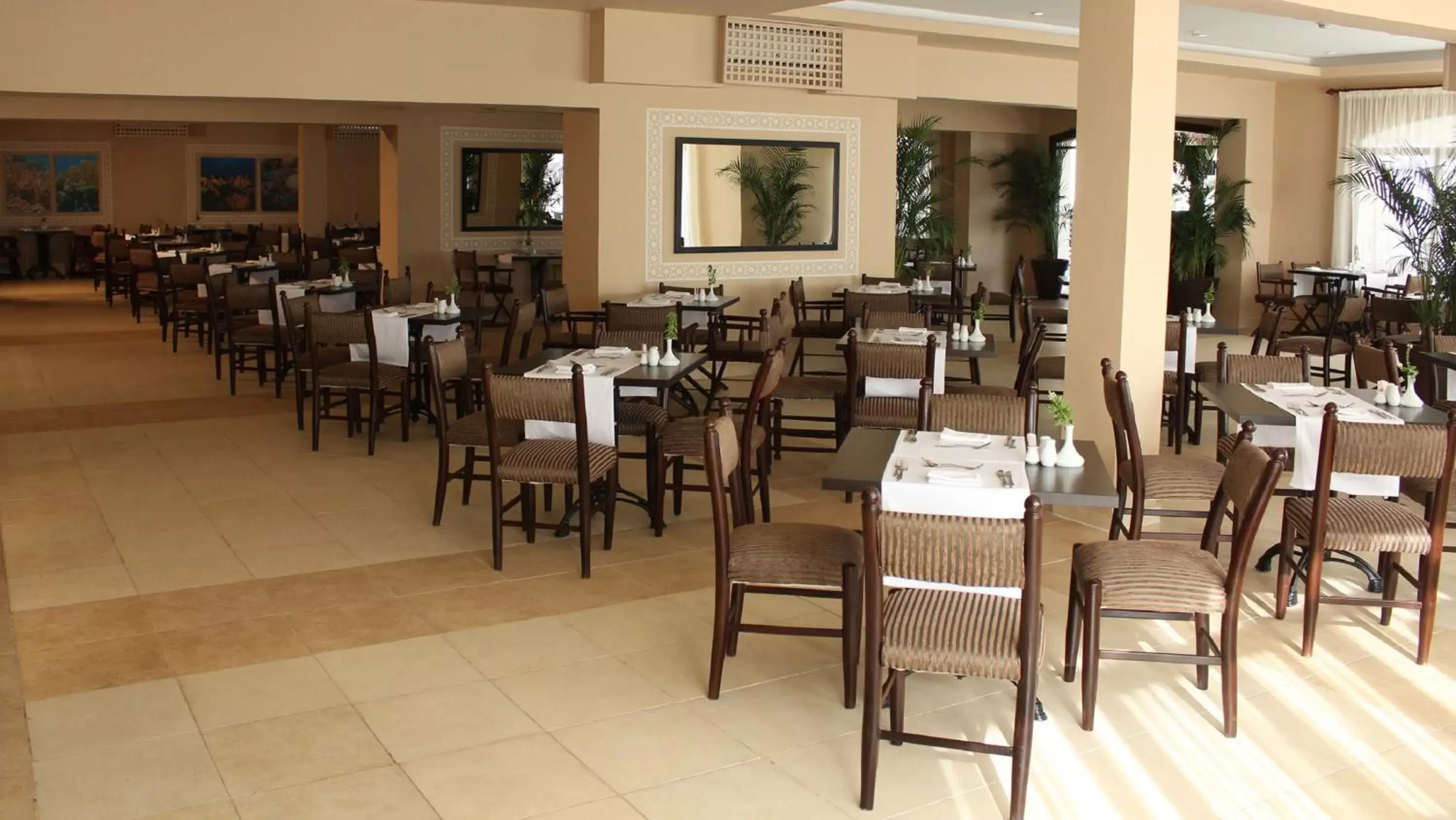 Restaurant/Places to Eat in Solymar Naama Bay