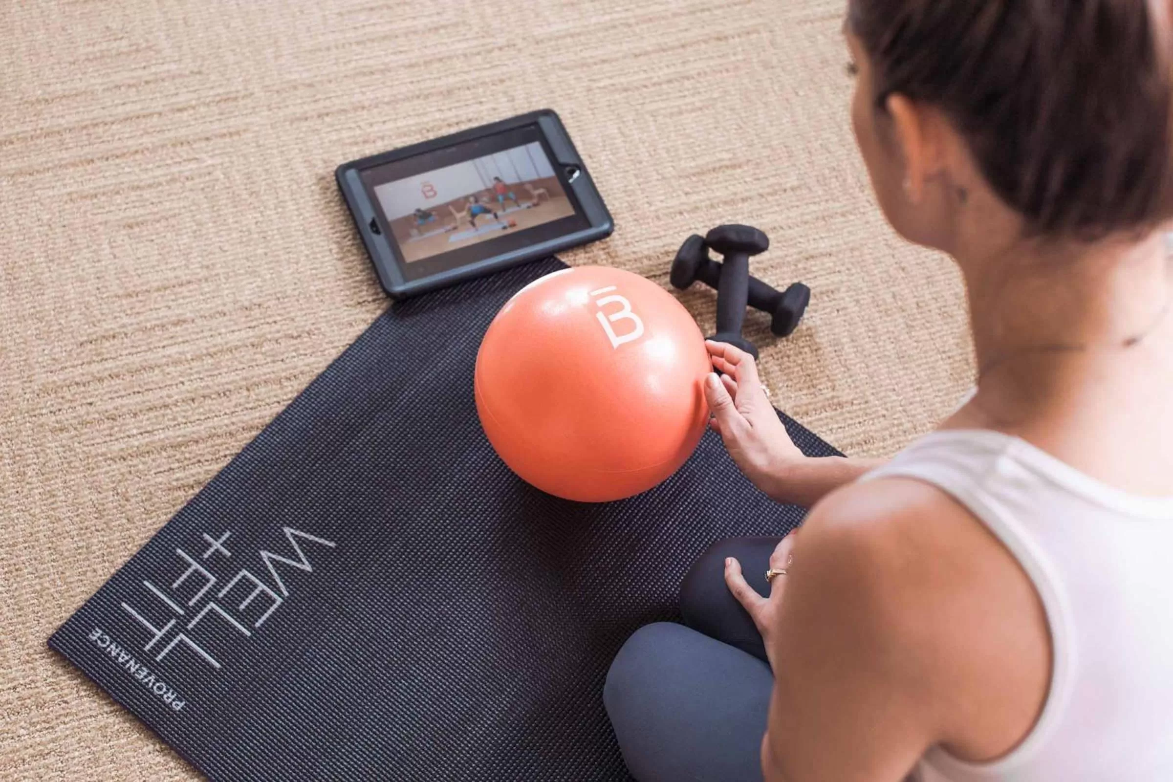 Animals in Hotel DeLuxe