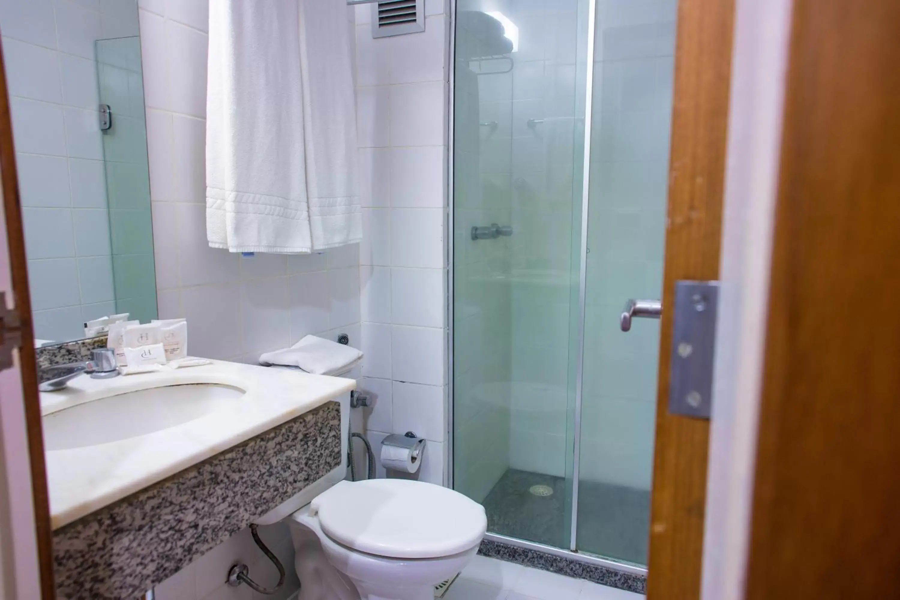 Bathroom in Hotel Continental Business - 200 metros do Complexo Hospitalar Santa Casa