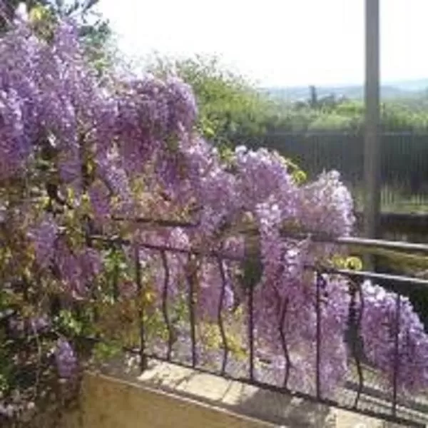 Natural landscape in Manoir Le Cristal - Futuroscope a petit prix , grandes chambres familiales 5-6 personnes ,