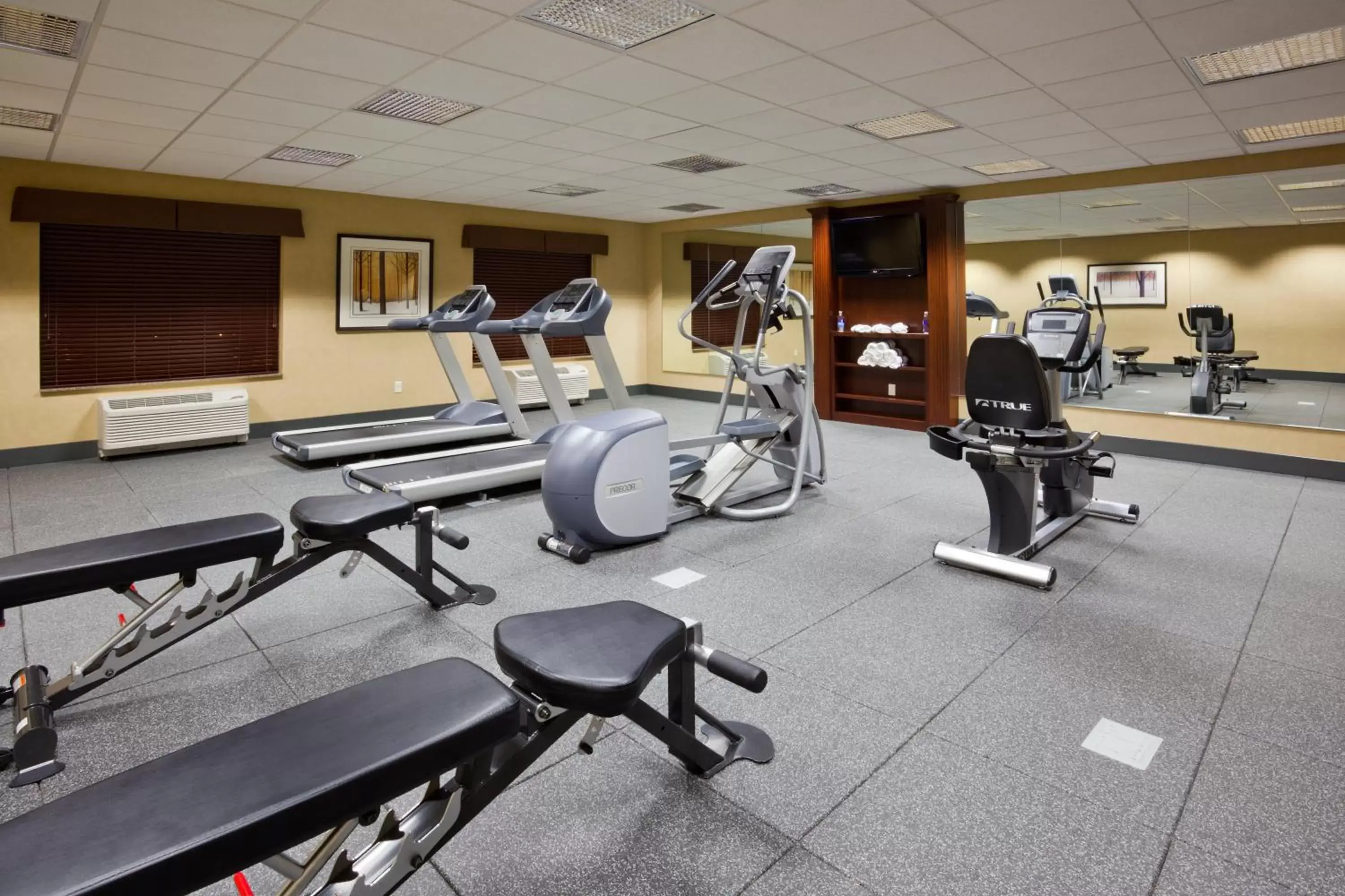 Fitness centre/facilities, Fitness Center/Facilities in Holiday Inn Express Hotel & Suites Shakopee, an IHG Hotel