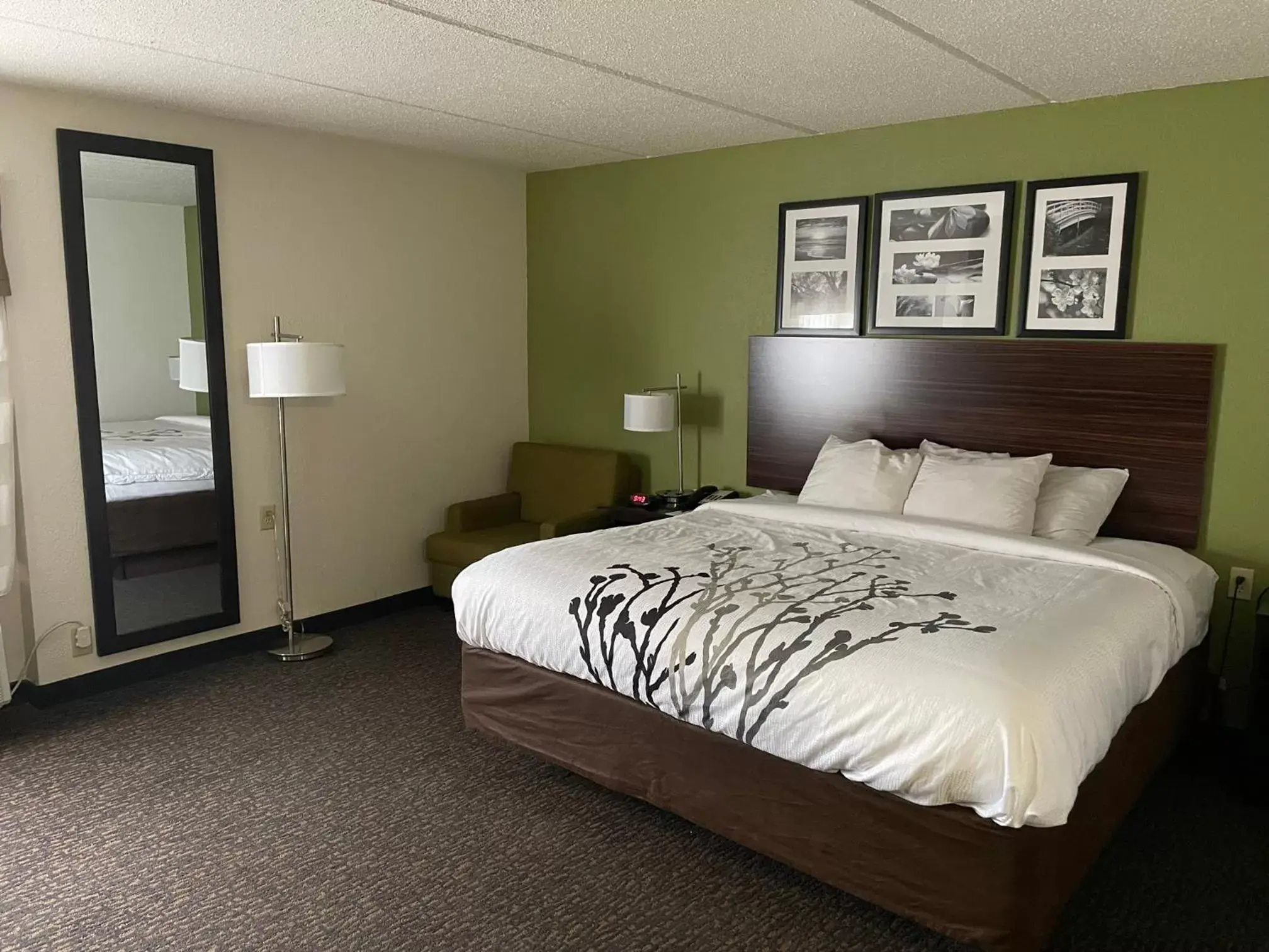 Bedroom, Bed in Sleep Inn & Suites near Sports World Blvd