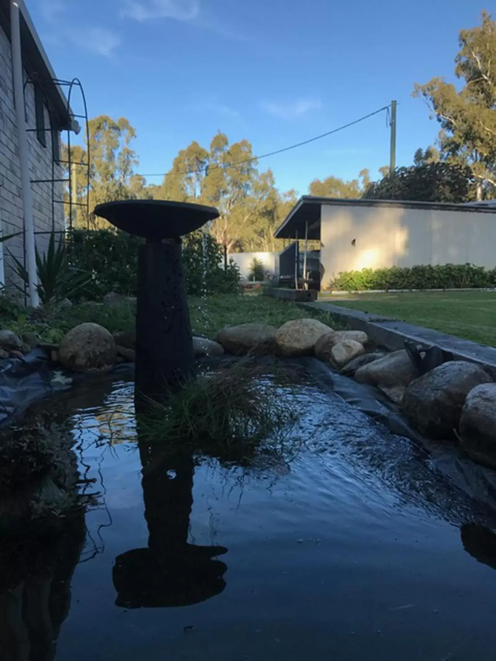 Garden in Edward River Hotel