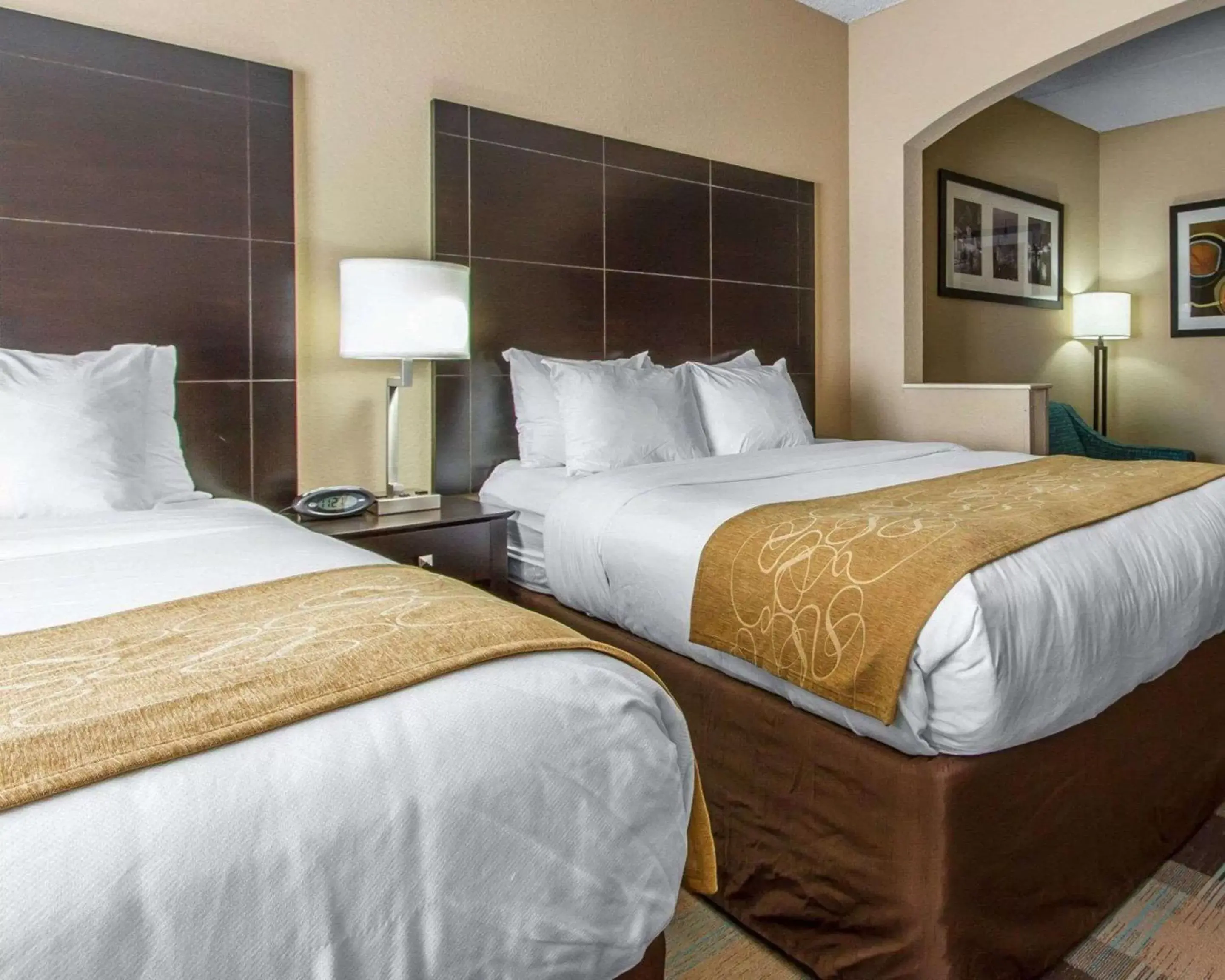 Photo of the whole room, Bed in Comfort Suites Kenner Photo of the whole room, Bed in Comfort Suites Kenner