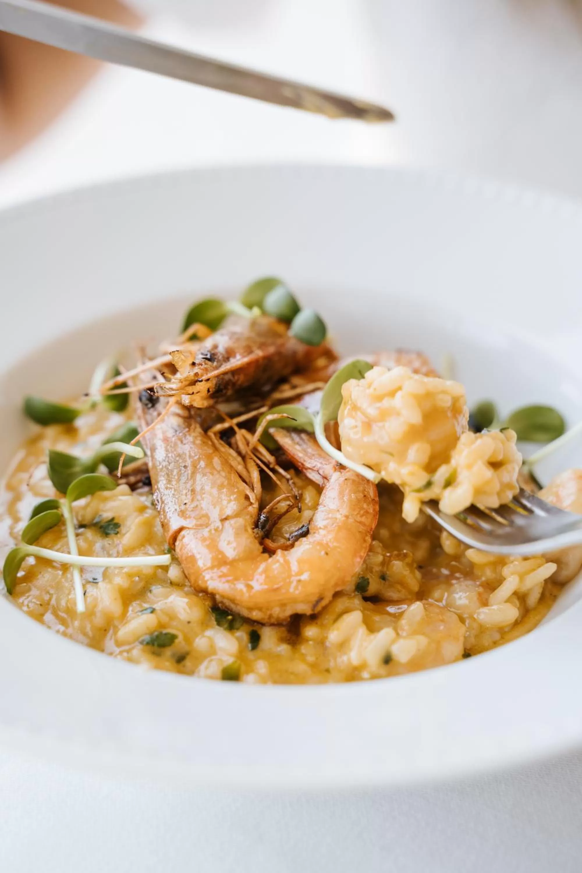 Restaurant/places to eat in Conimbriga Hotel do Paço