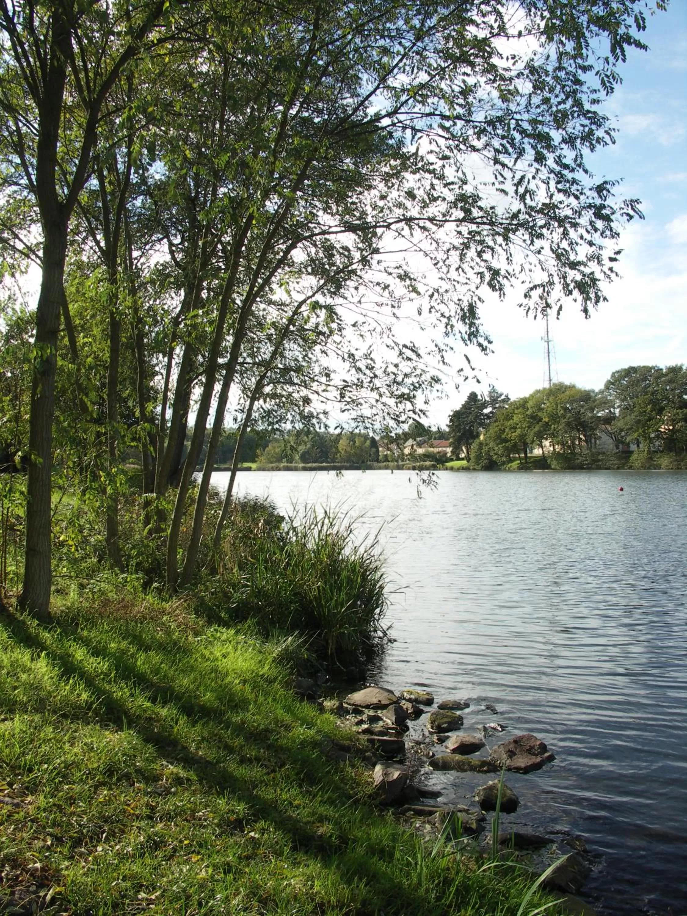 Natural landscape in Hôtel et Restaurant Aster, Saint-Avold Nord