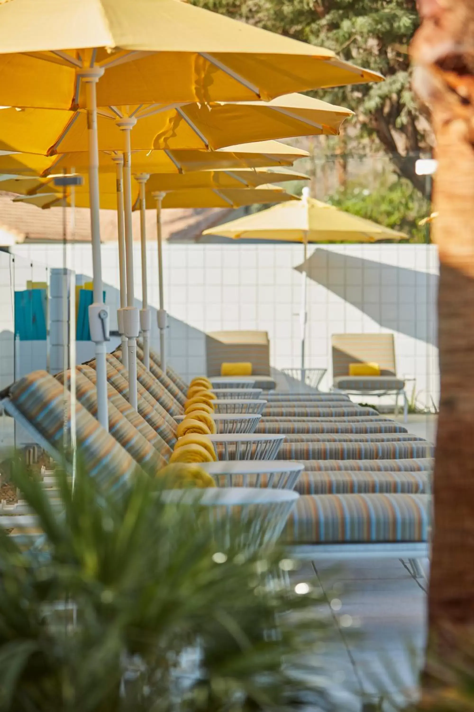 Mountain view in Twin Palms Resort - A Gay Men's Resort Mountain view in Twin Palms Resort - A Gay Men's Resort