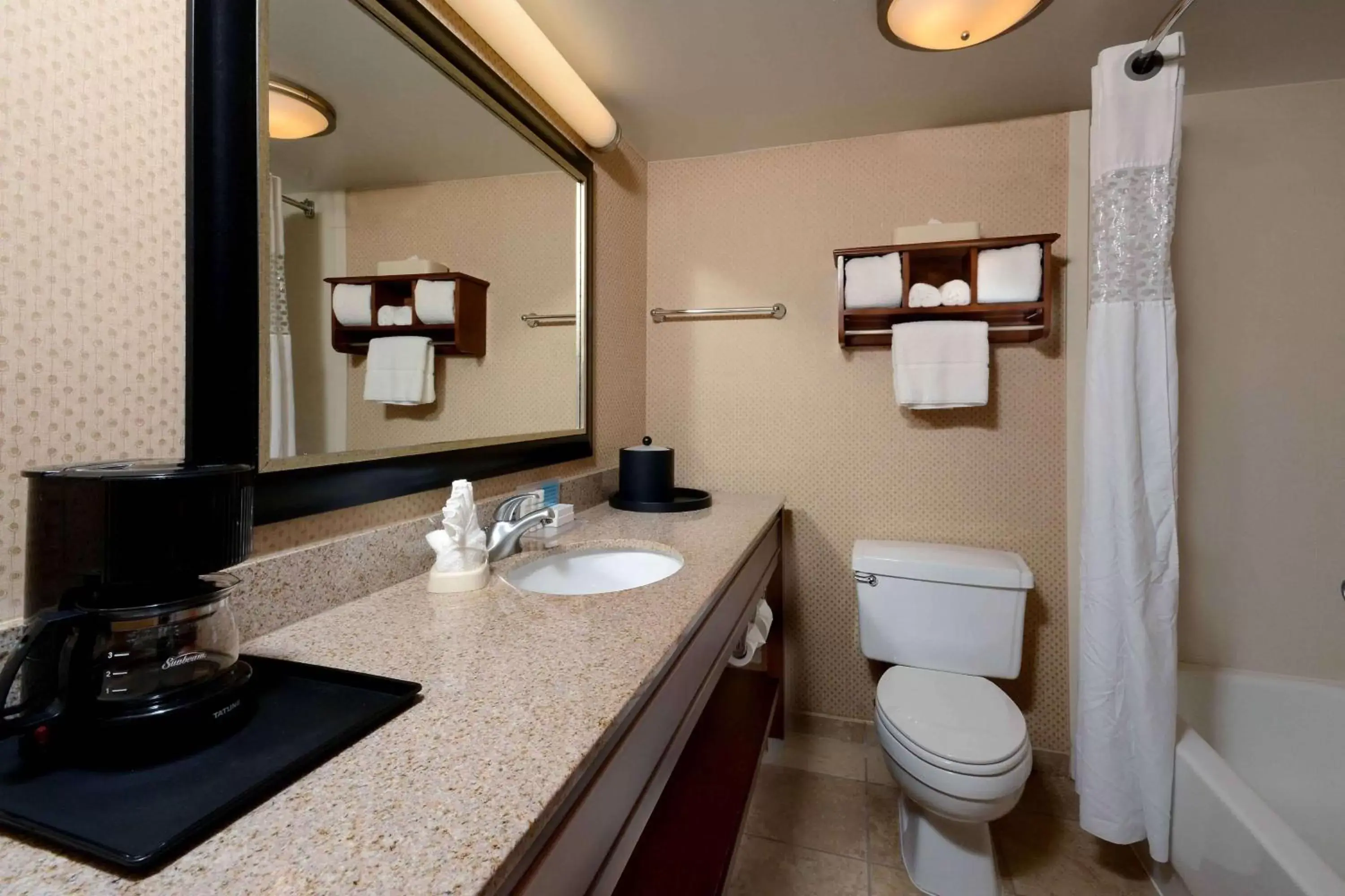 Bathroom in Hampton Inn Fayetteville Fort Bragg