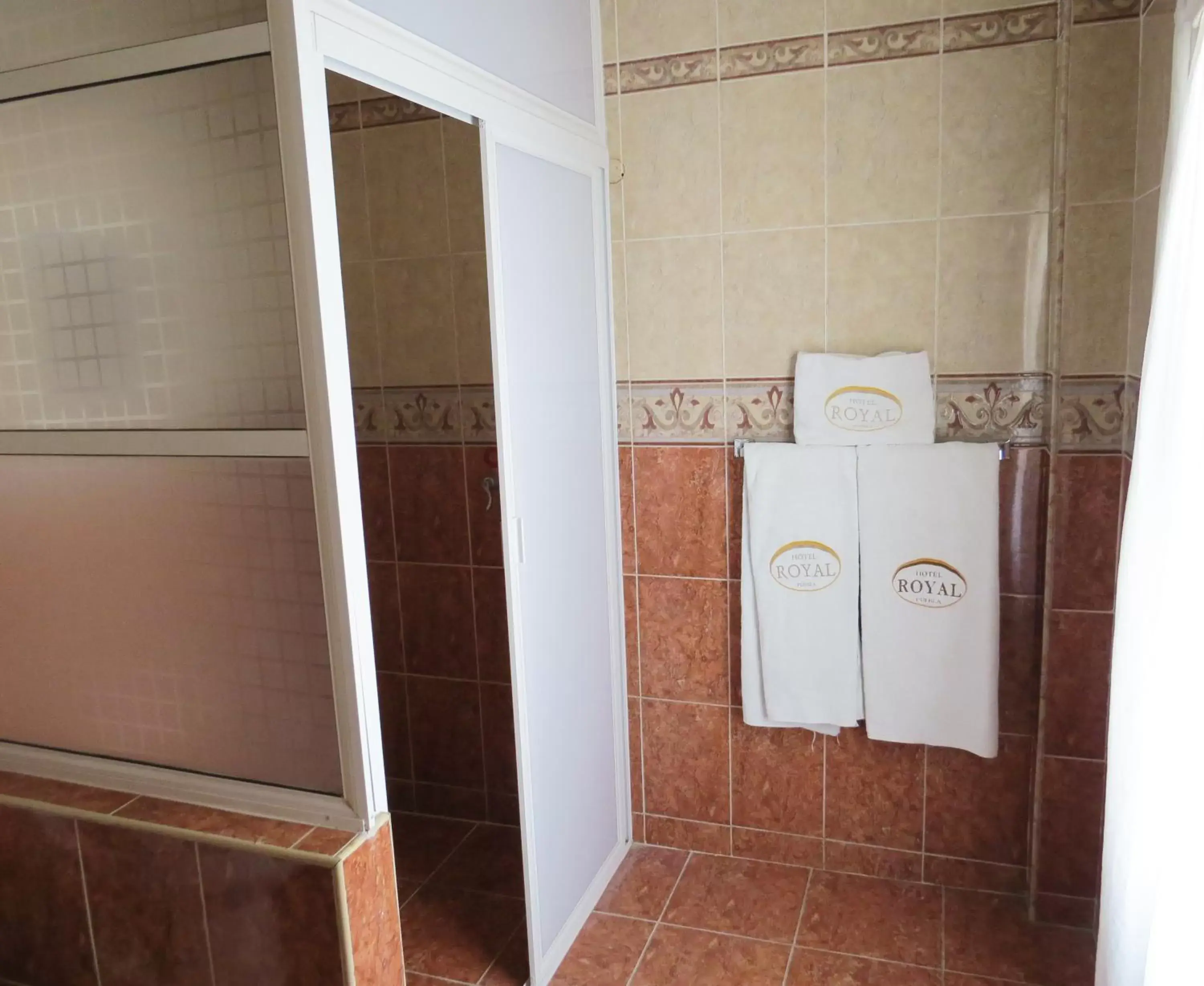 Shower, Bathroom in Hotel Royal Puebla