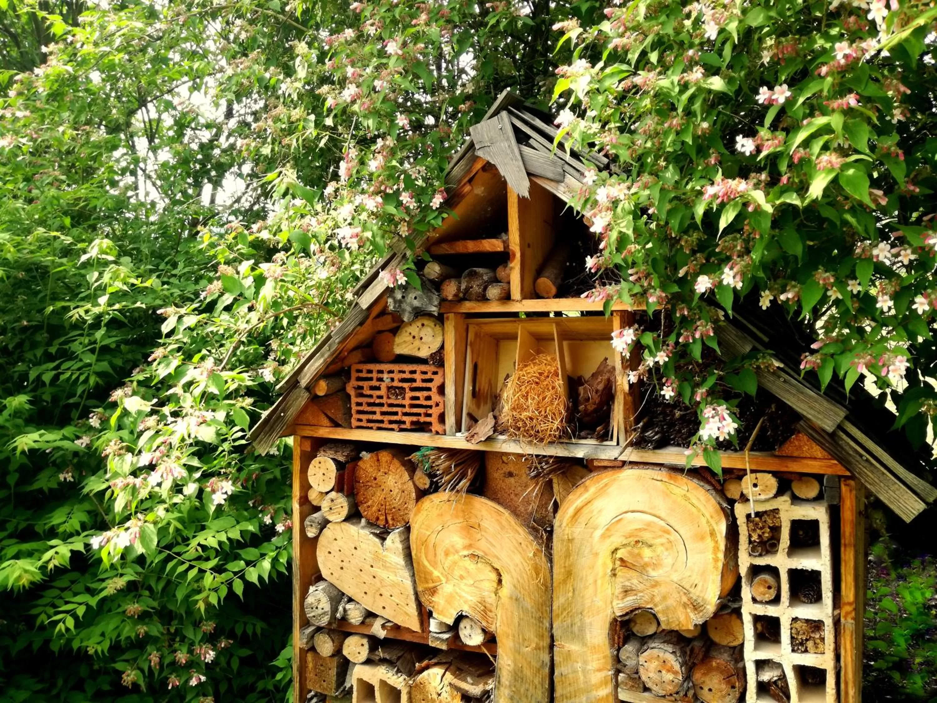 Day in Hotel Brücklwirt