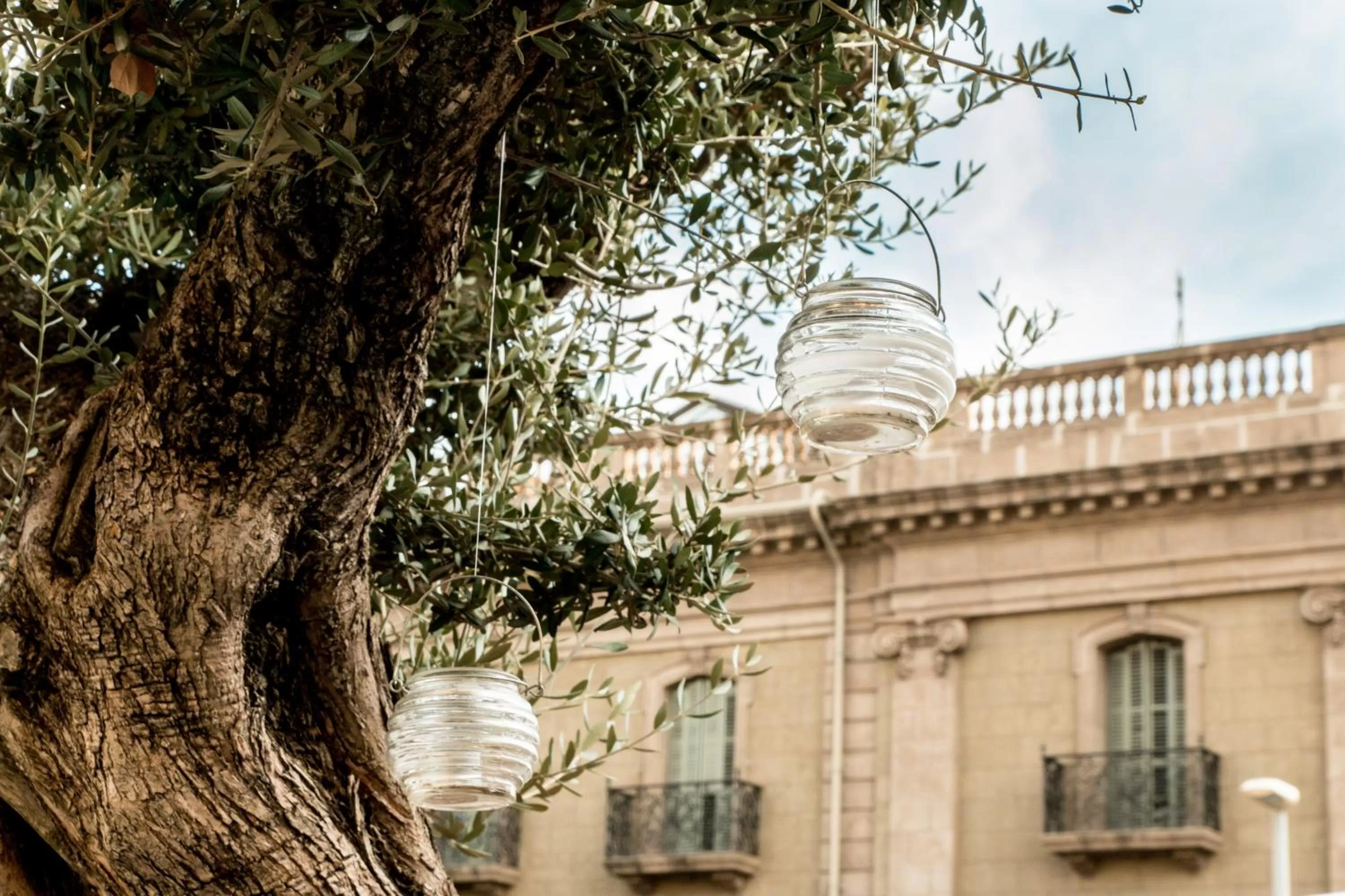Balcony/Terrace in Hotel Oasis