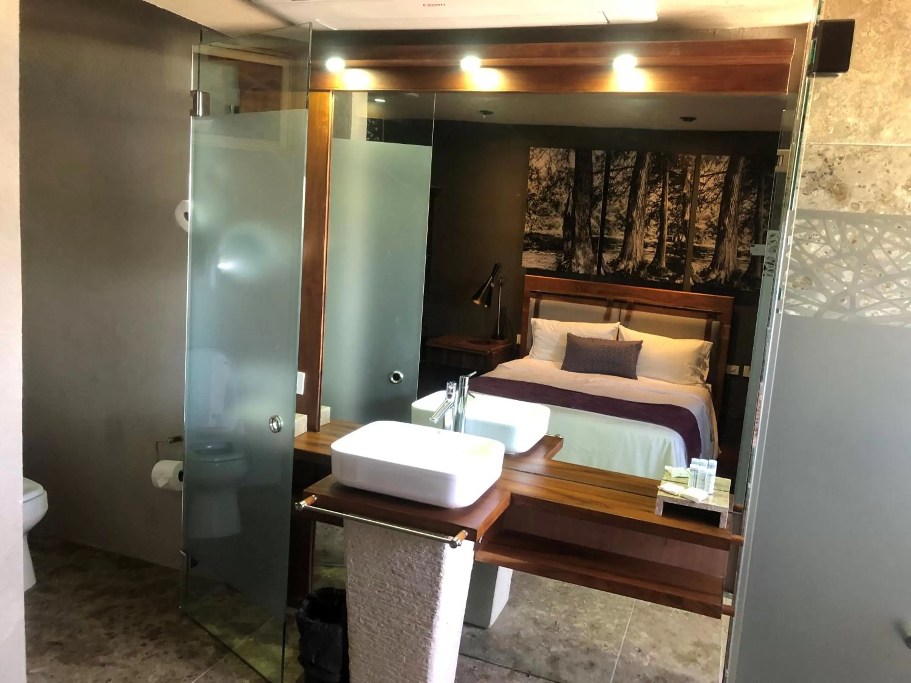 Bathroom in Gamma Monterrey Rincon de Santiago