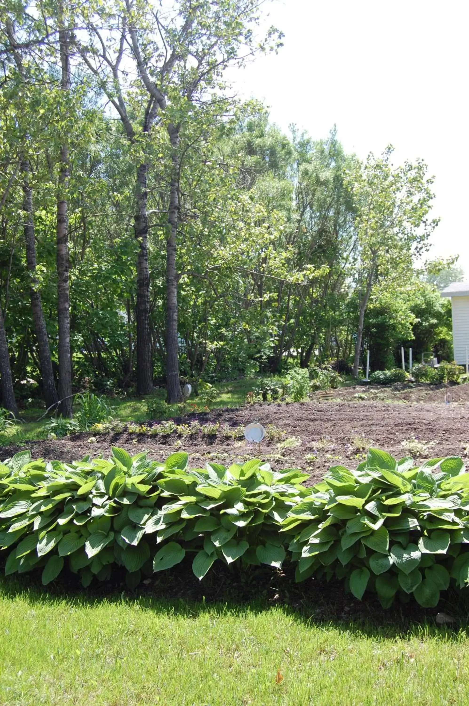 Garden in Auberge La Seigneurie