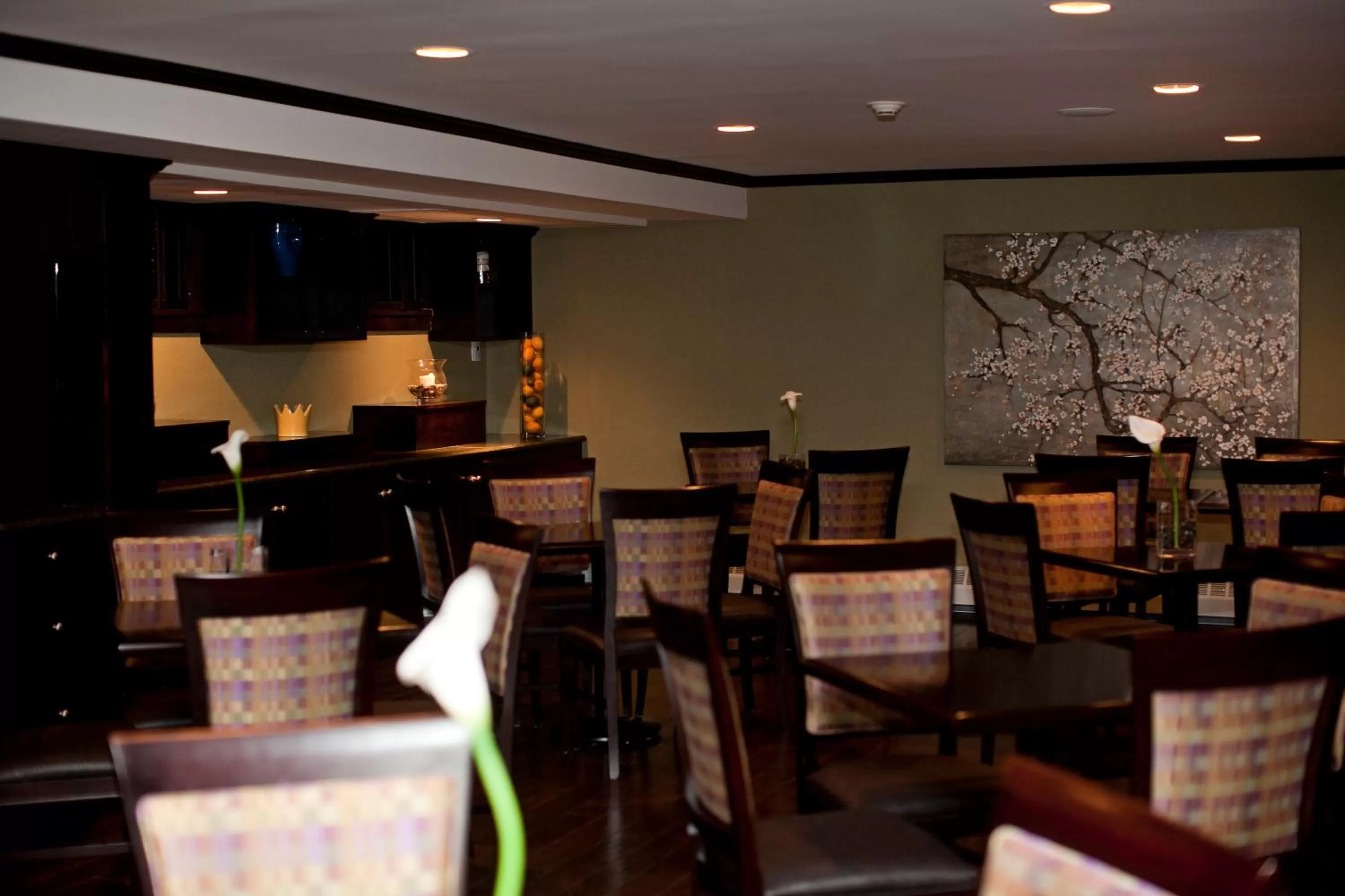 Area and facilities in The Hotel on Pownal