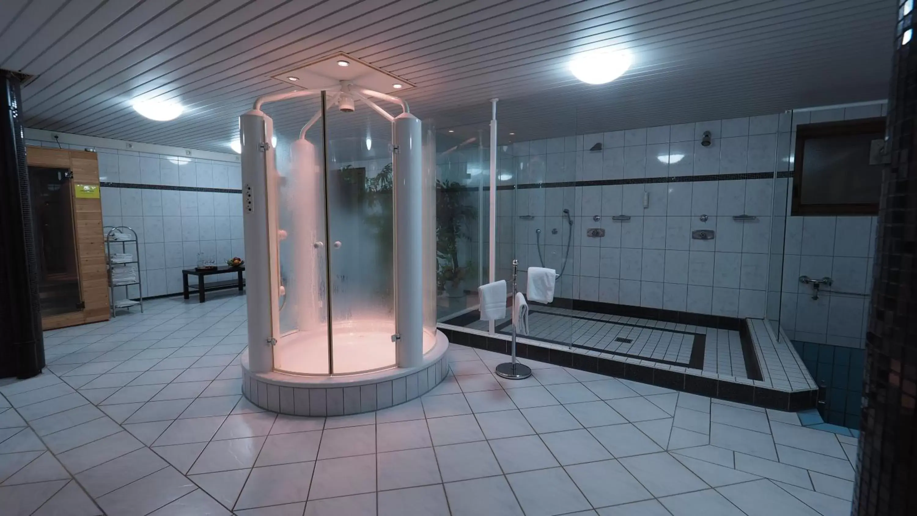 Shower, Bathroom in Hotel Gasthof Adler