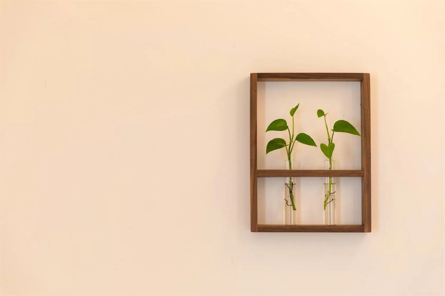 Decorative detail in Wander Hostel