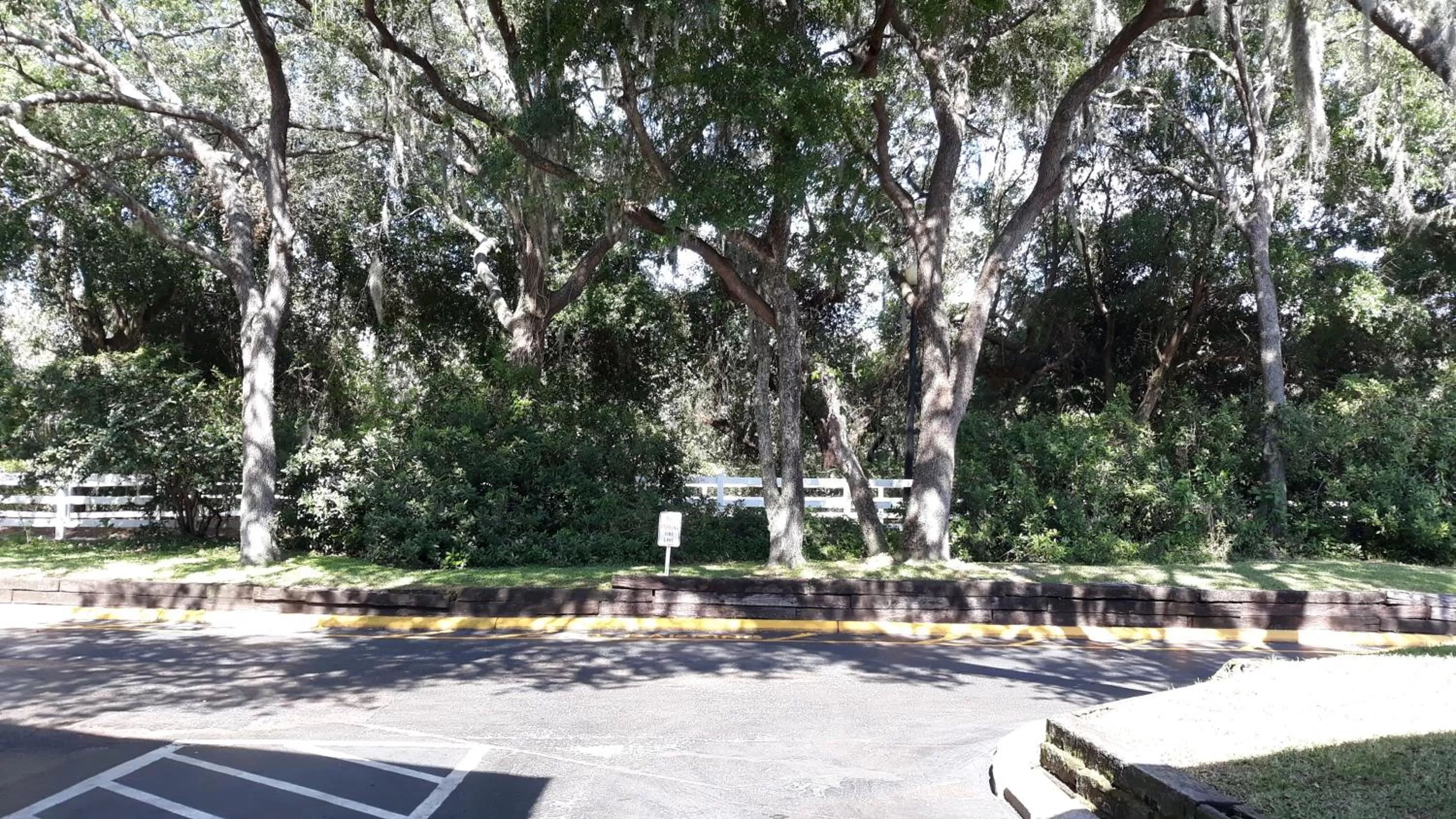 Natural landscape in Ramada by Wyndham Temple Terrace/Tampa North