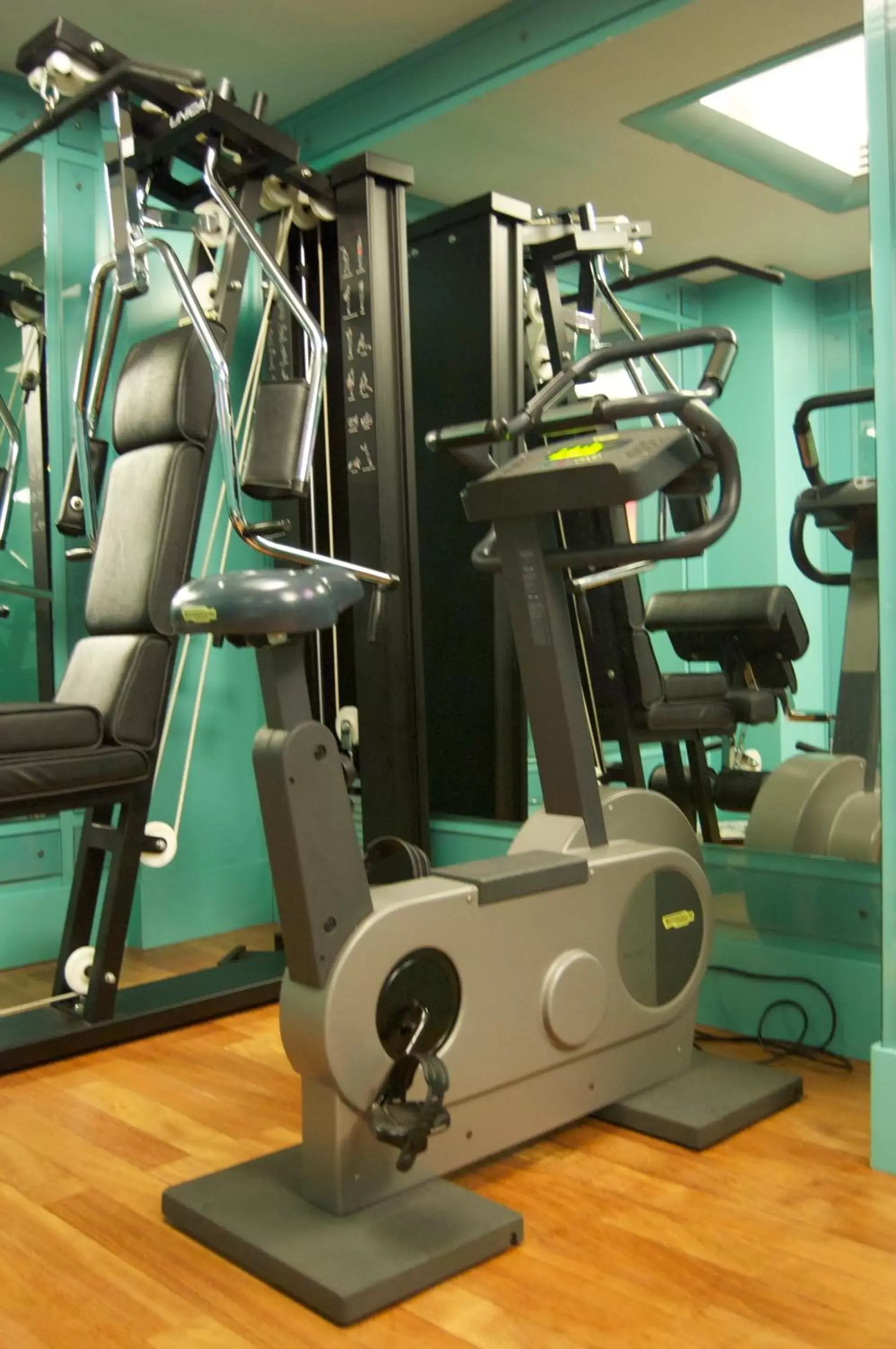 Fitness centre/facilities, Fitness Center/Facilities in Starhotels Anderson