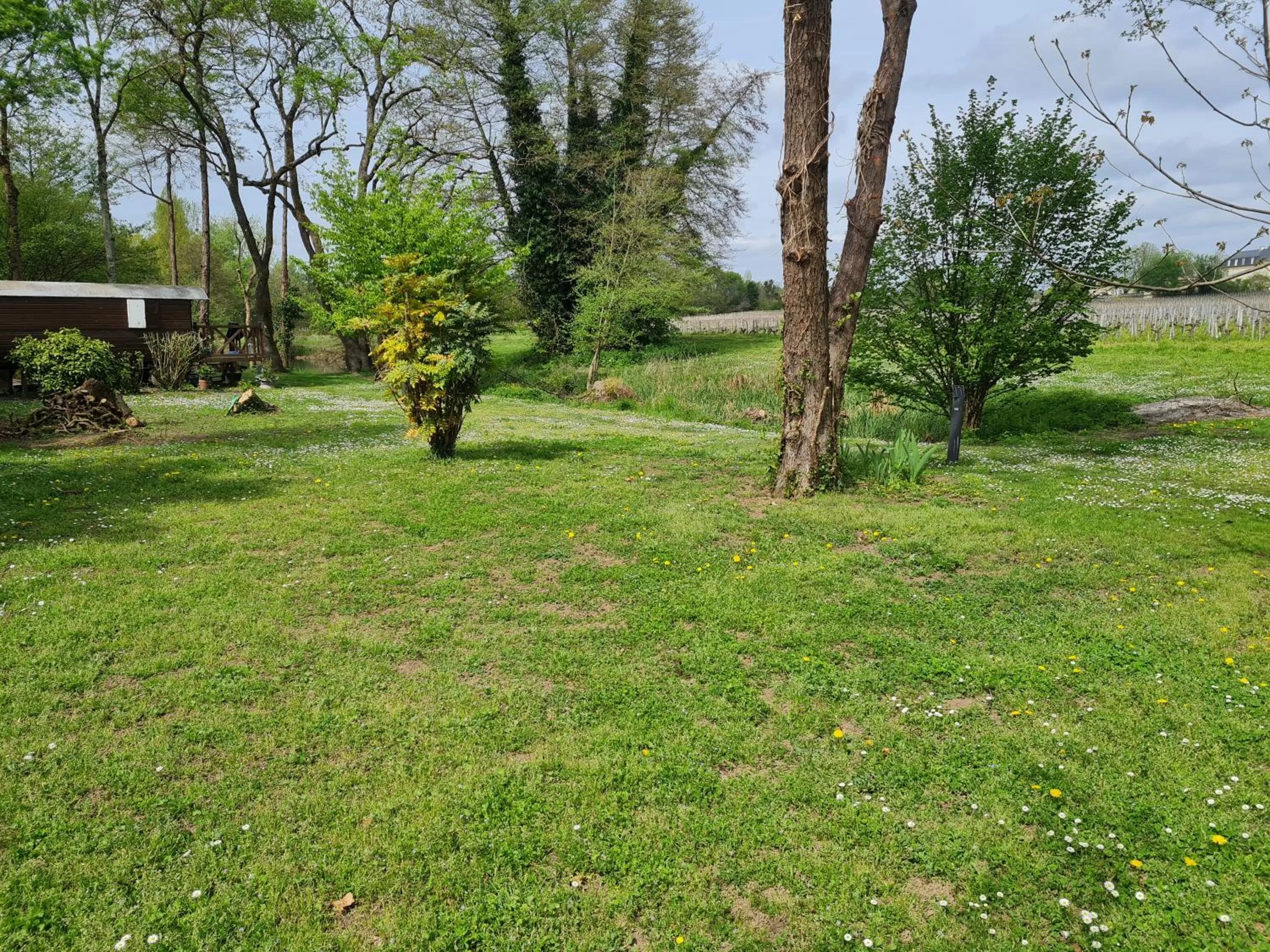 Garden in Roulotte d'Aquitaine