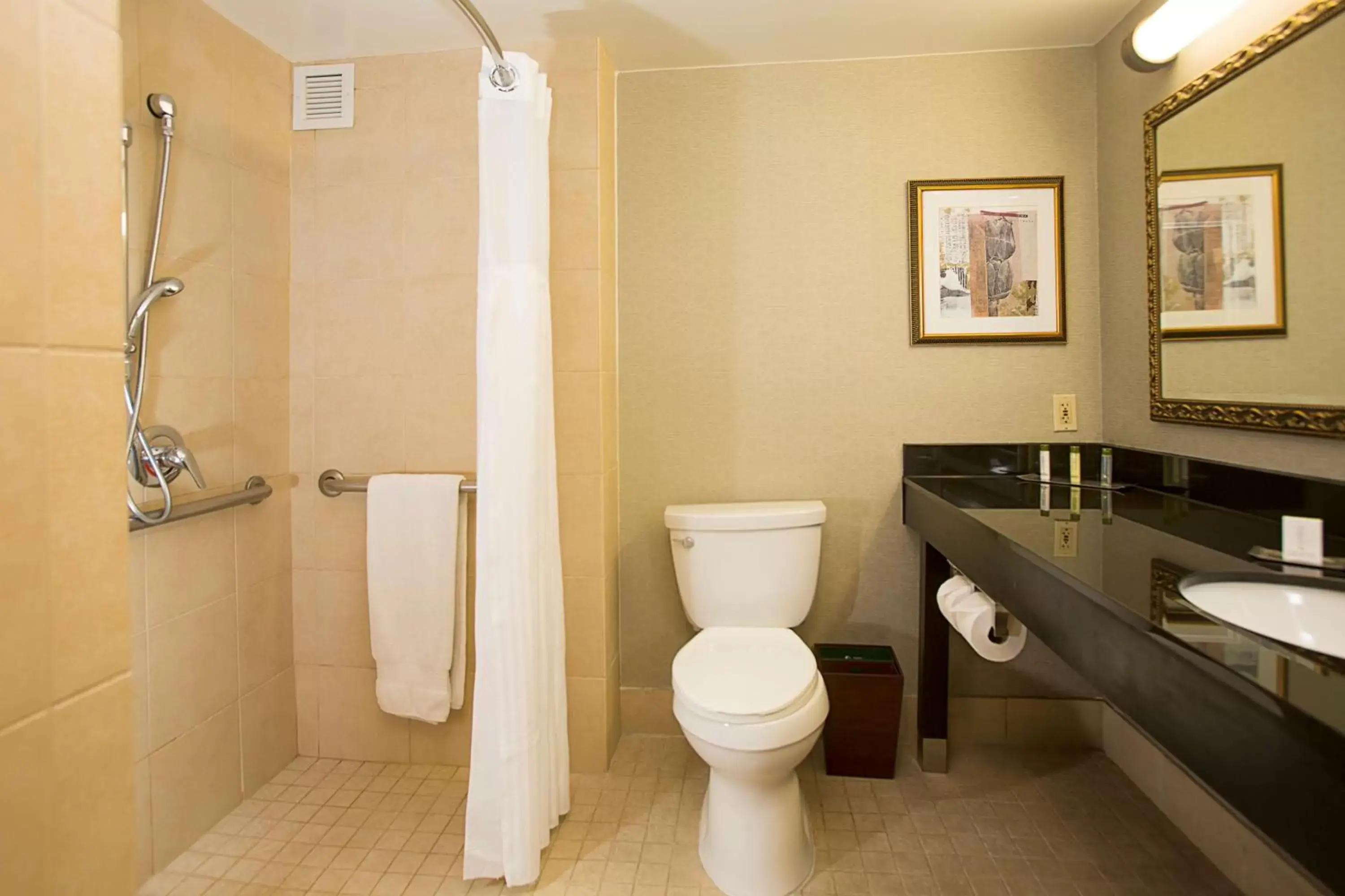 Bathroom in DoubleTree by Hilton Hotel Detroit - Novi