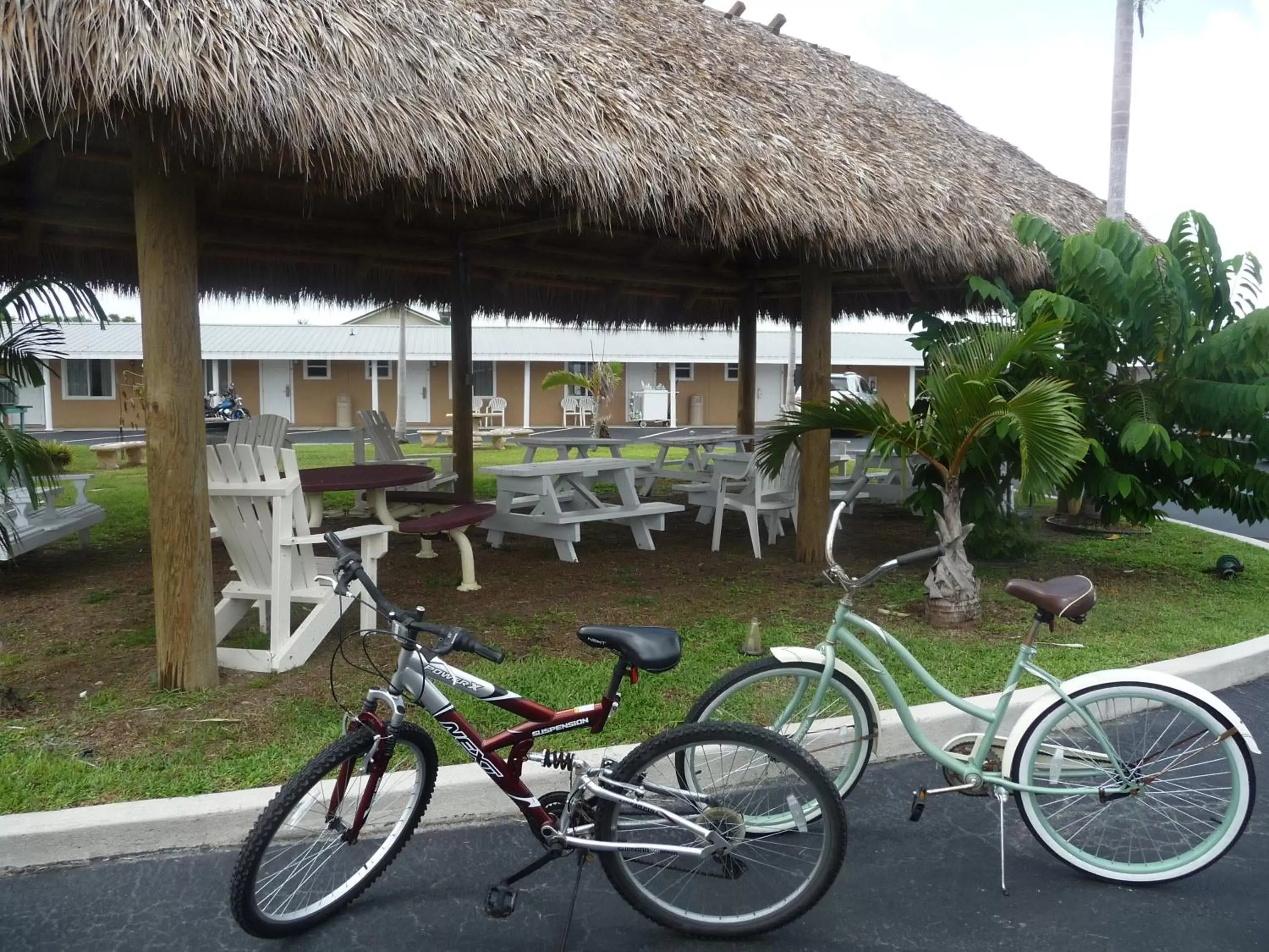 Cycling in Everglades City Motel - Everglades Adventures Inn