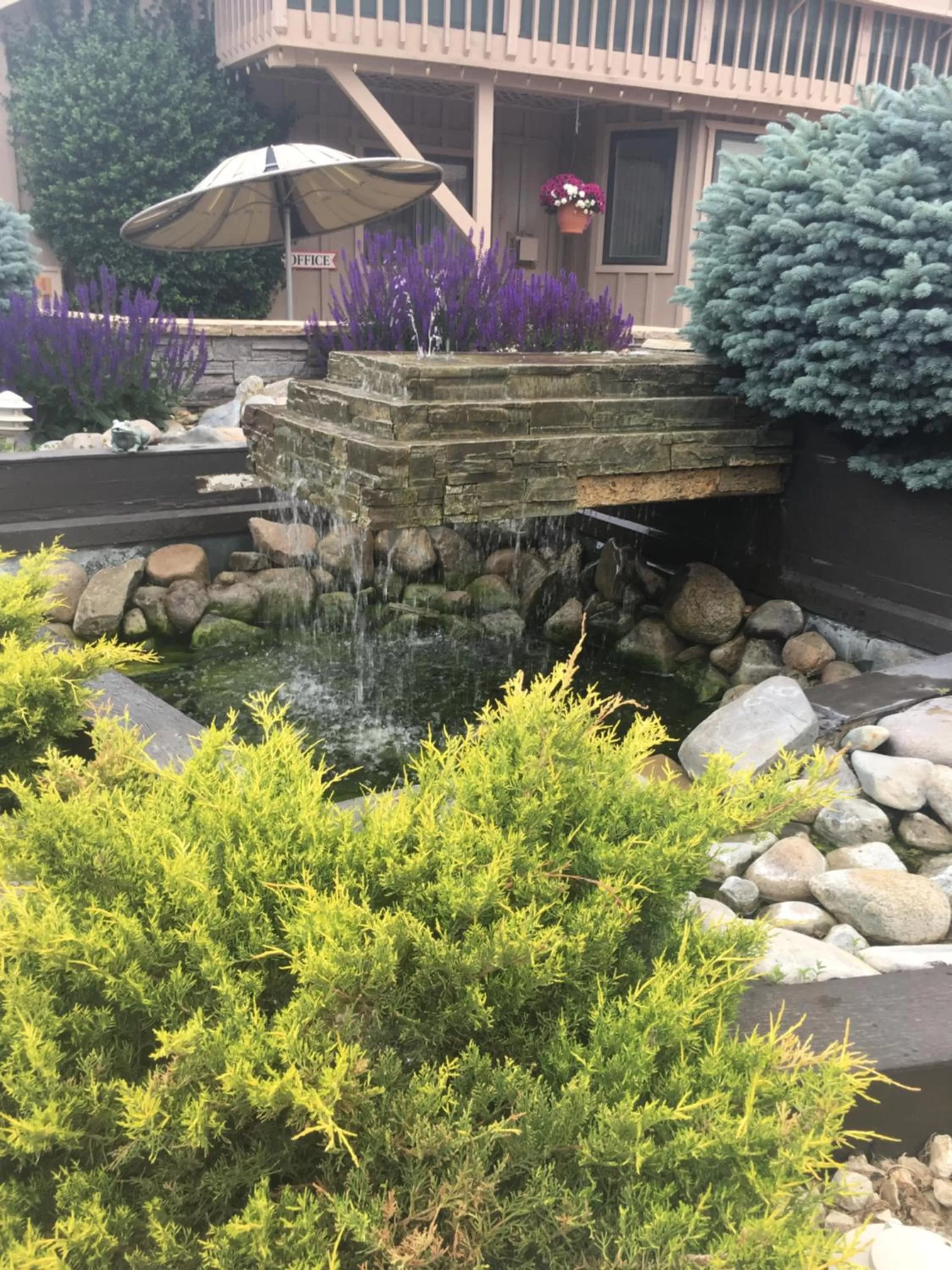 Garden in Woodland Motel