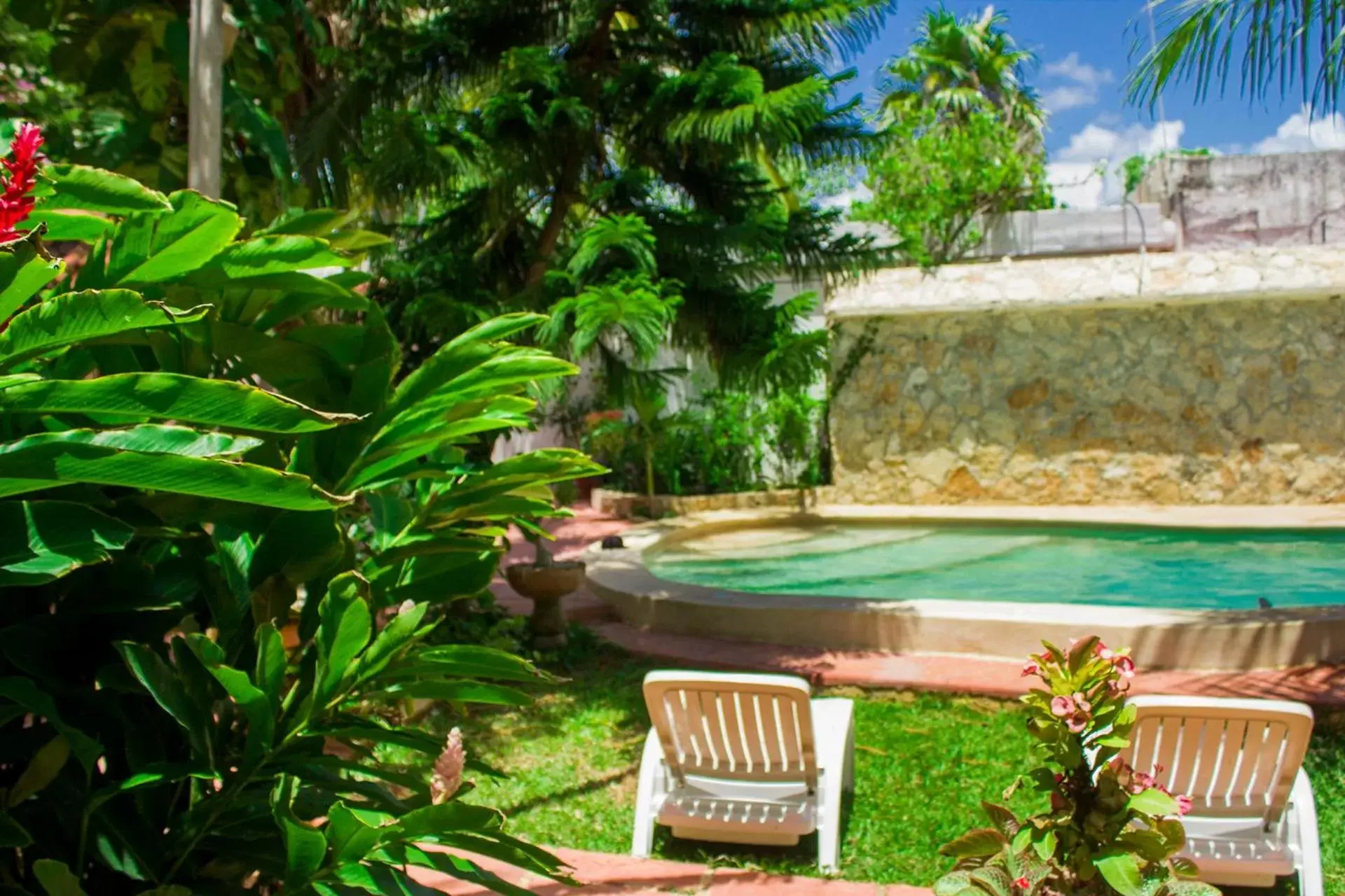 Patio, Swimming Pool in Casa De Los Pájaros - B&B