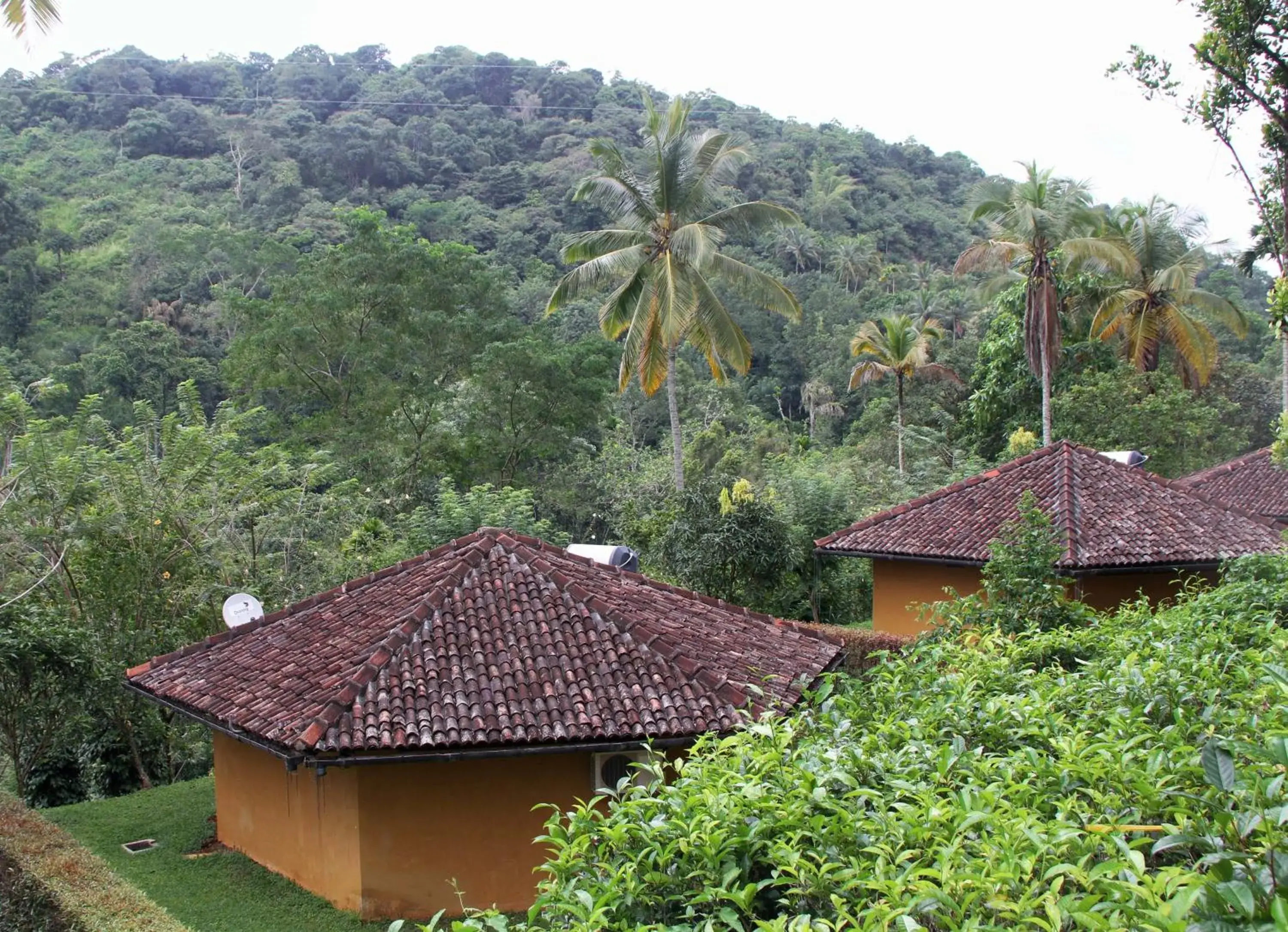 Photo of the whole room in Athulya Villas