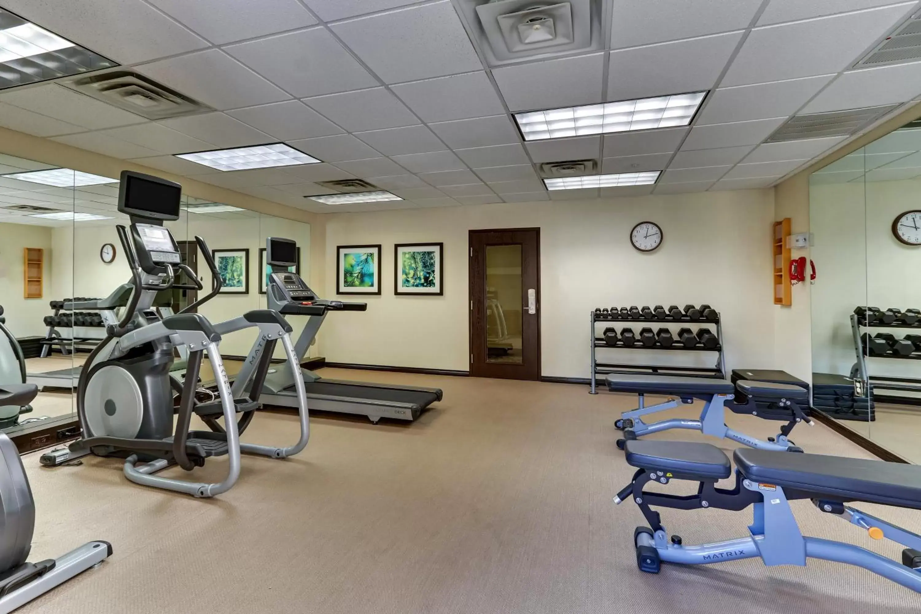 Fitness centre/facilities, Fitness Center/Facilities in Staybridge Suites San Angelo, an IHG Hotel